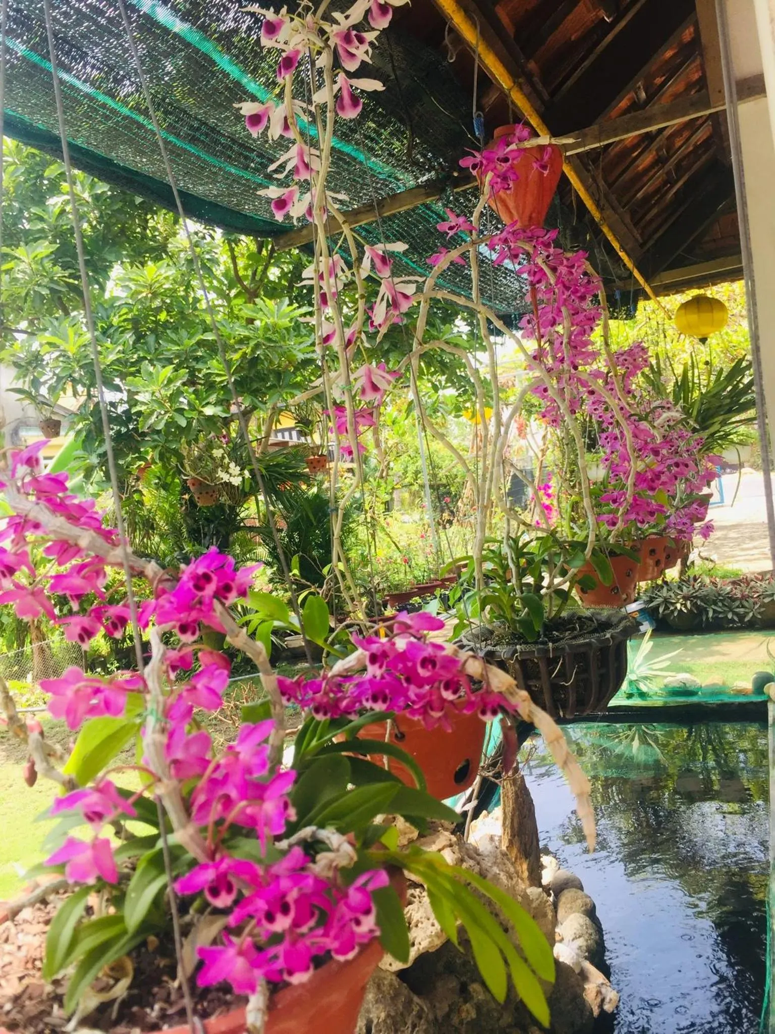 Garden in Do River Homestay