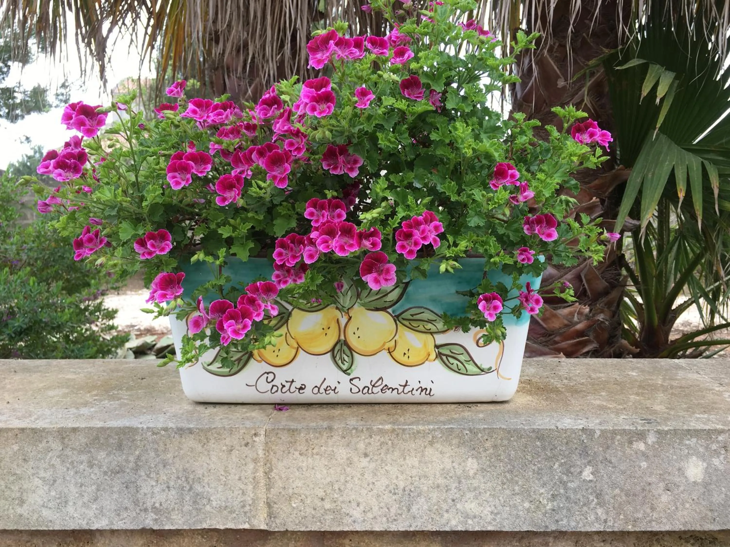 Logo/Certificate/Sign in Corte dei Salentini