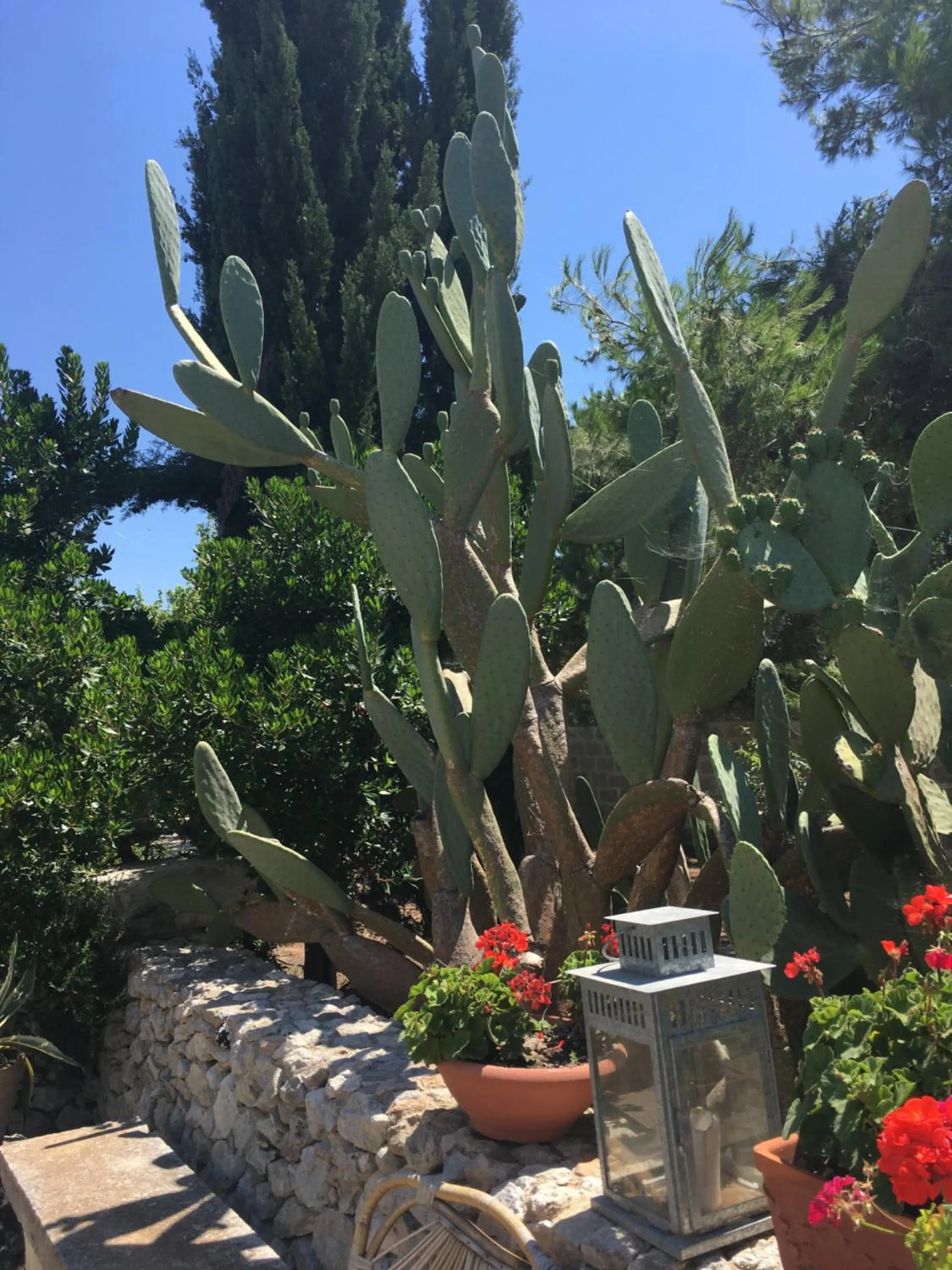 Patio in Corte dei Salentini