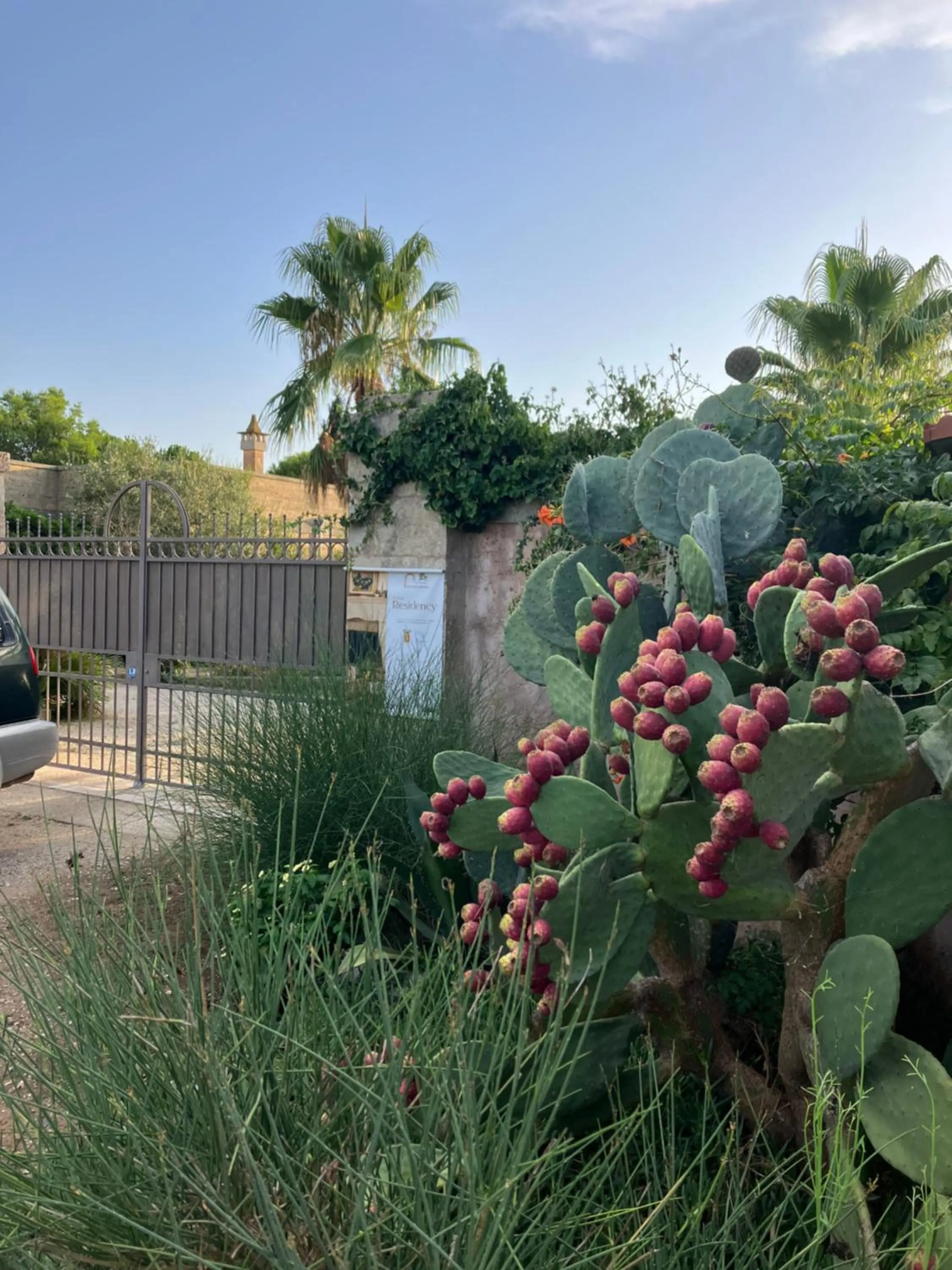 Quiet street view in Corte dei Salentini