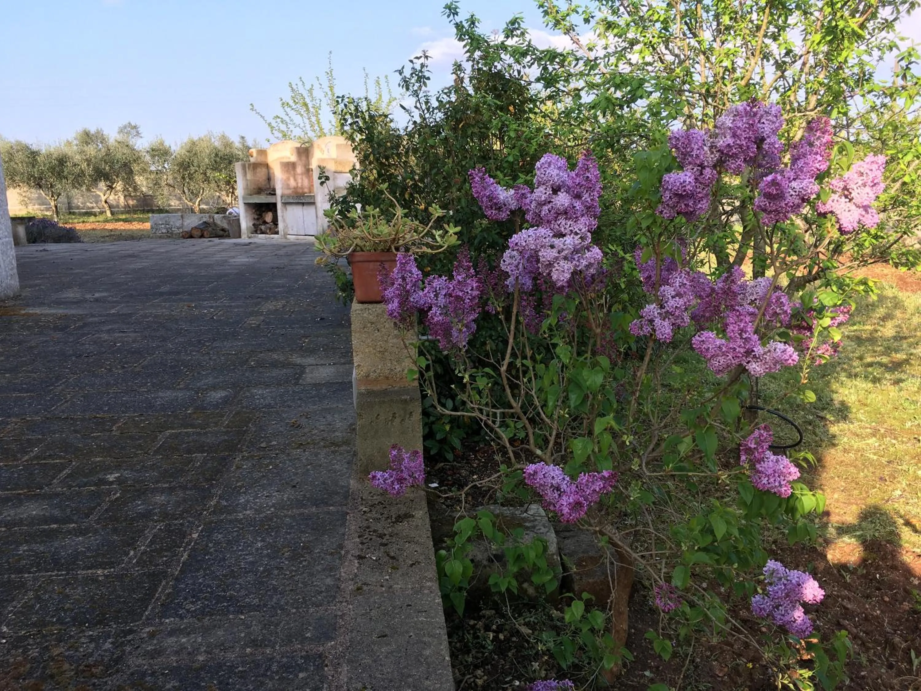 Garden in Corte dei Salentini
