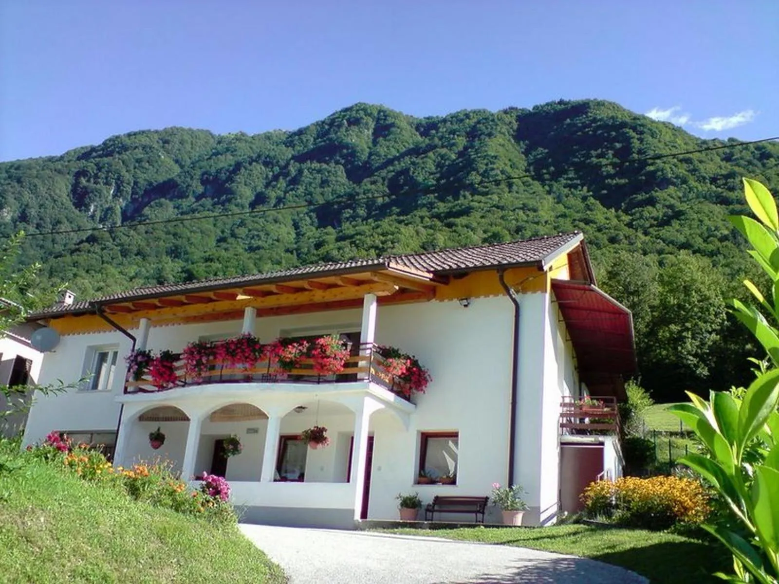 Apartments Denis