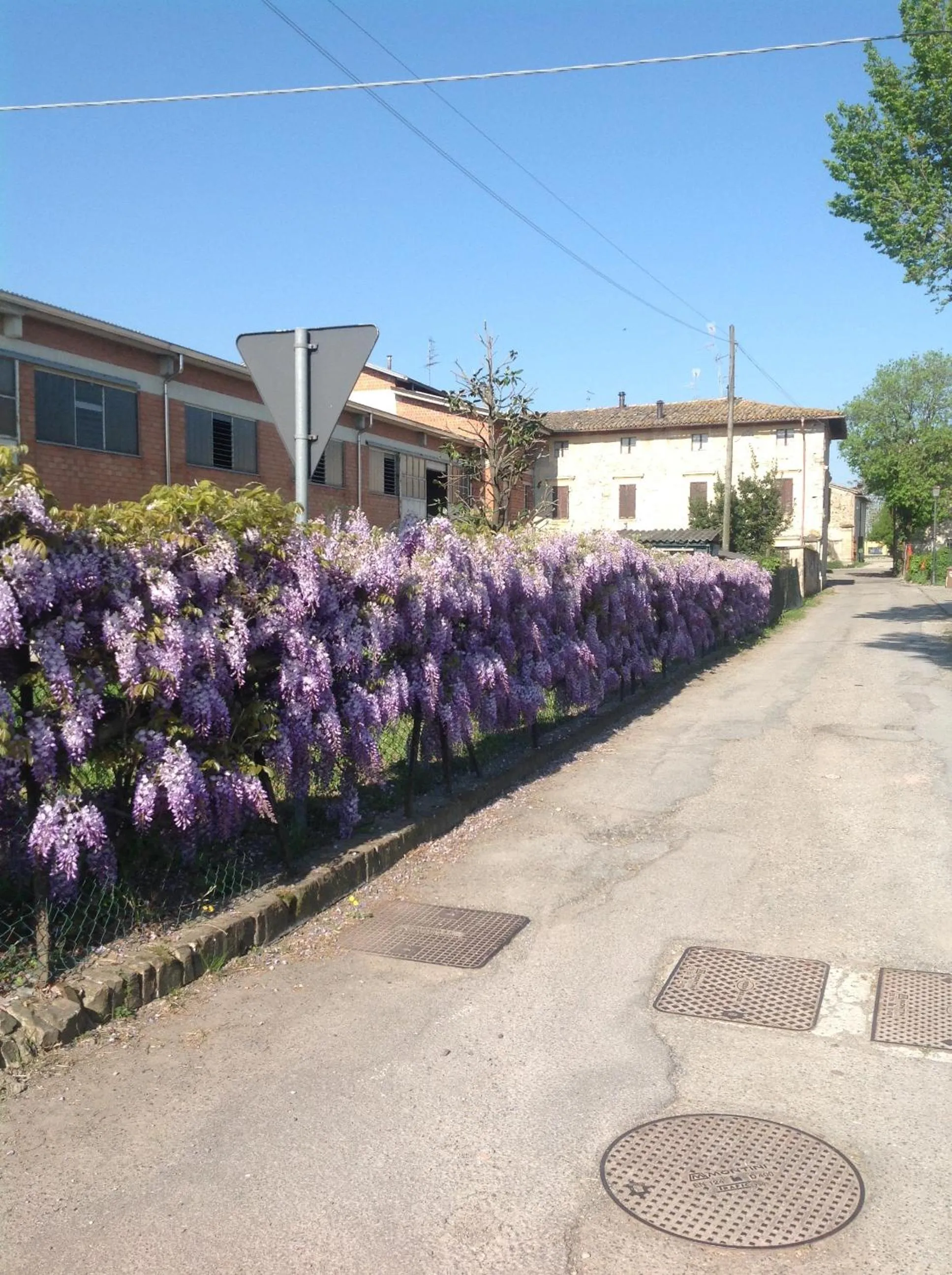 Spring in B&B San Giorgio