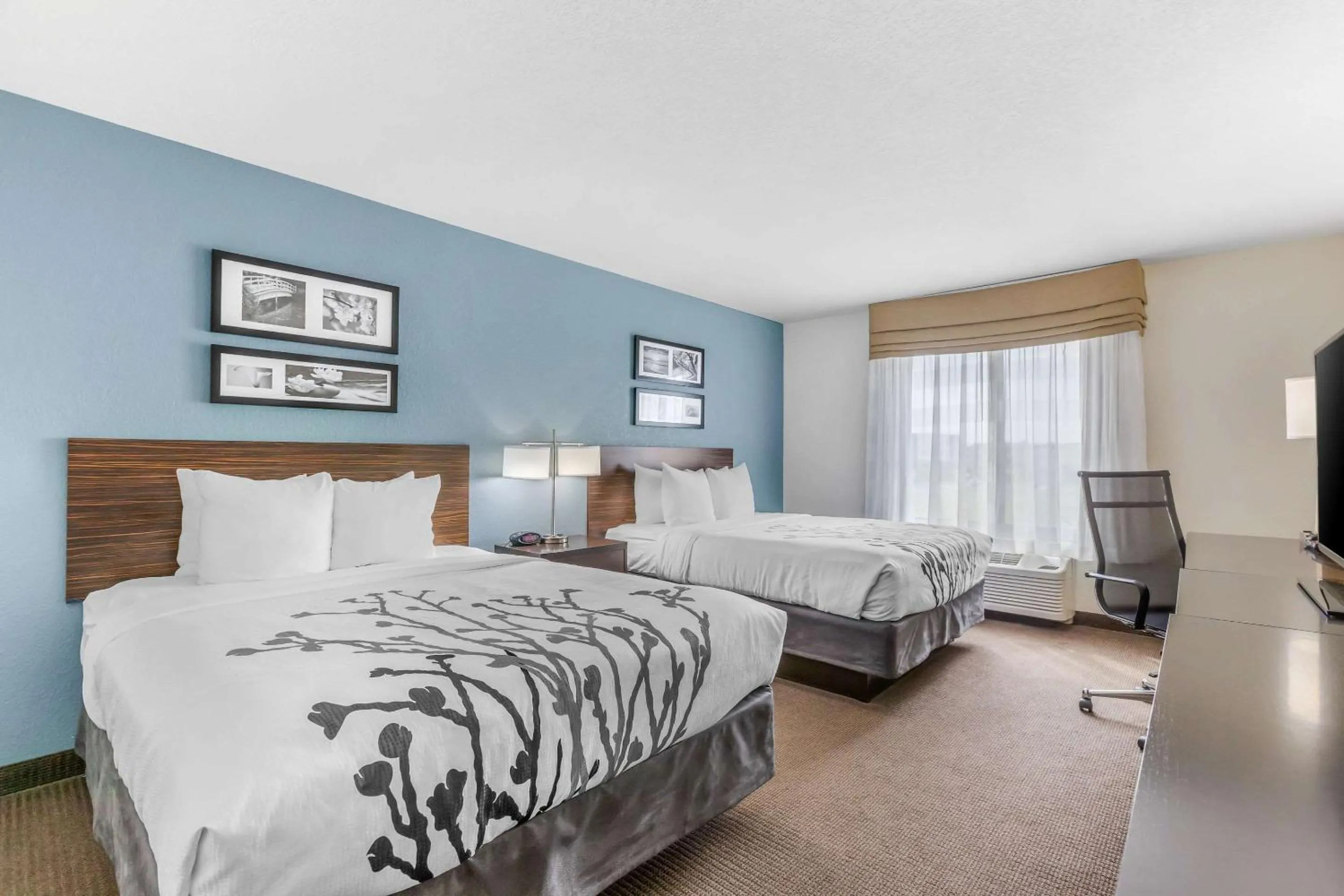 Photo of the whole room, Bed in Sleep Inn & Suites Ames near ISU Campus