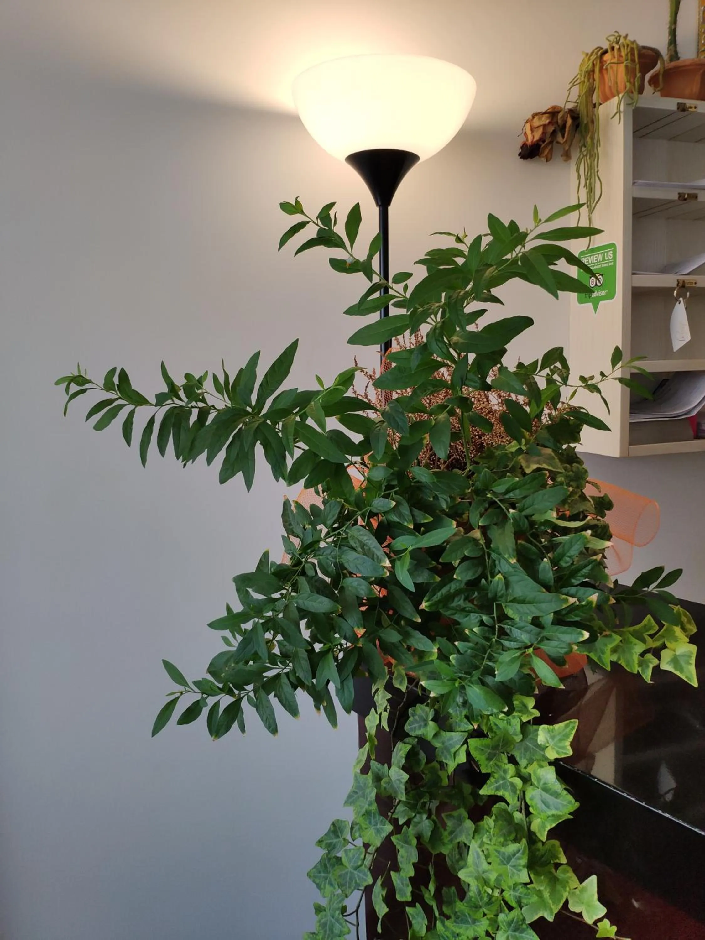 Decorative detail in Hotel Feel Inn Venice Airport