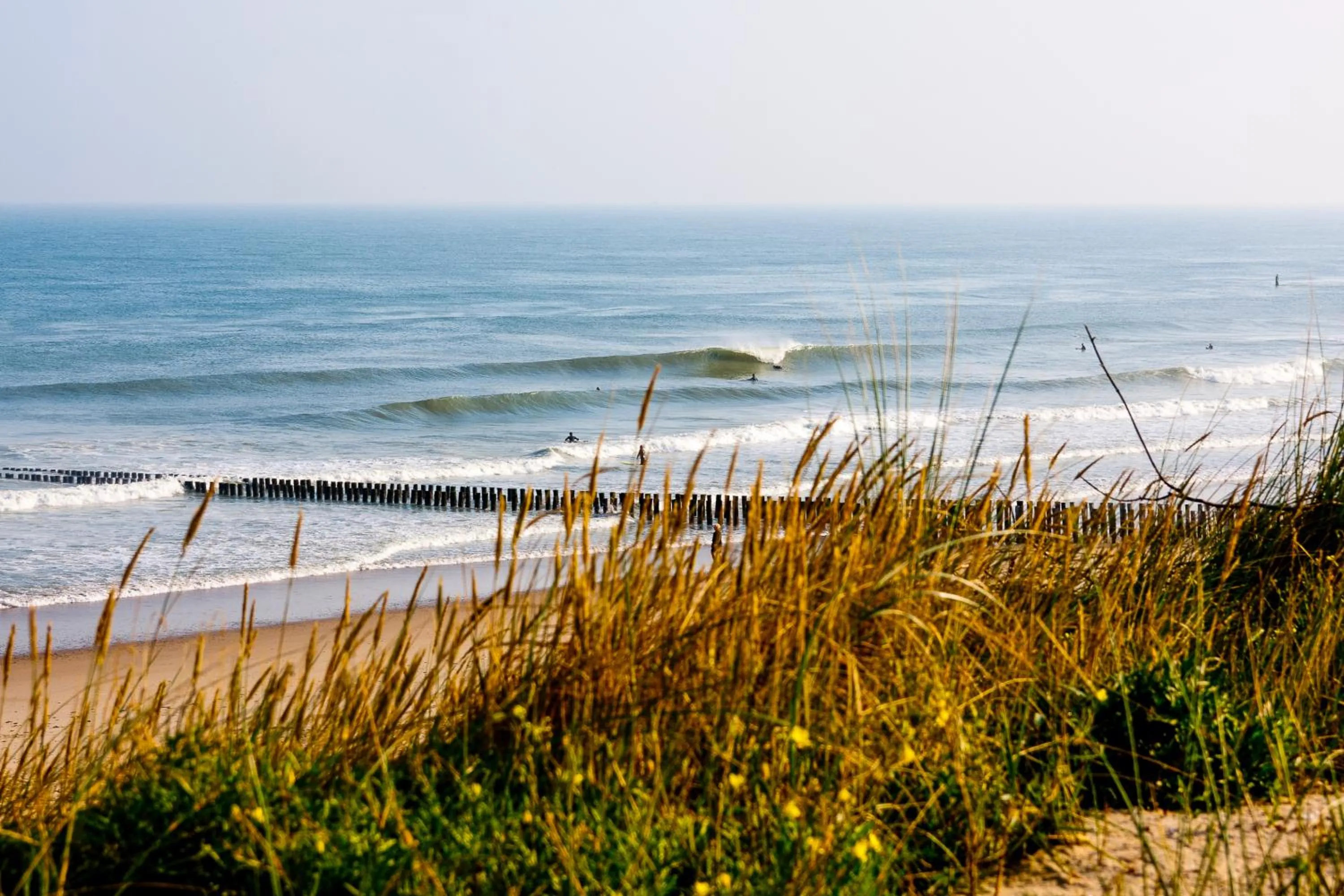 Day in Hotel Domburg4you