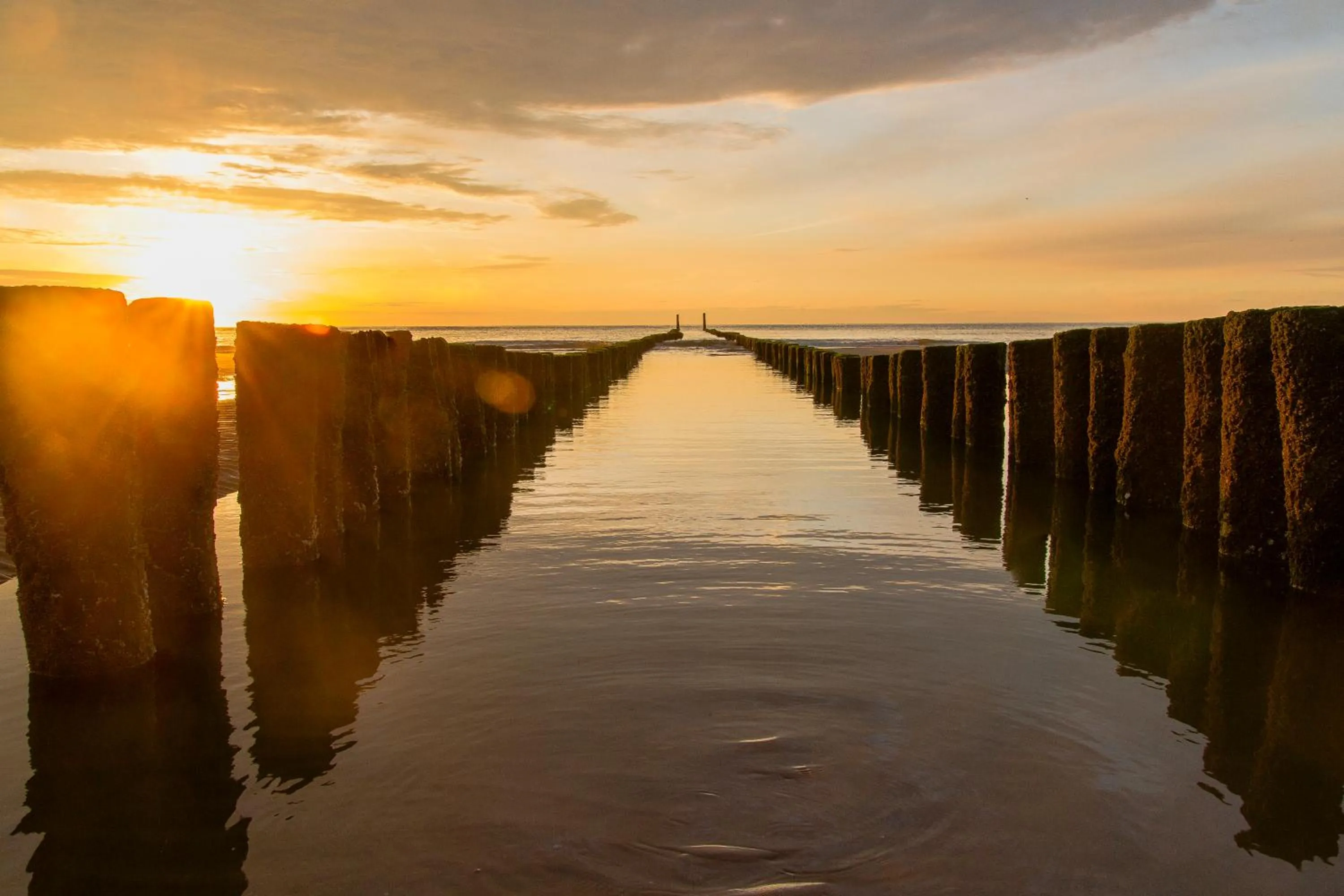 Beach in Hotel Domburg4you