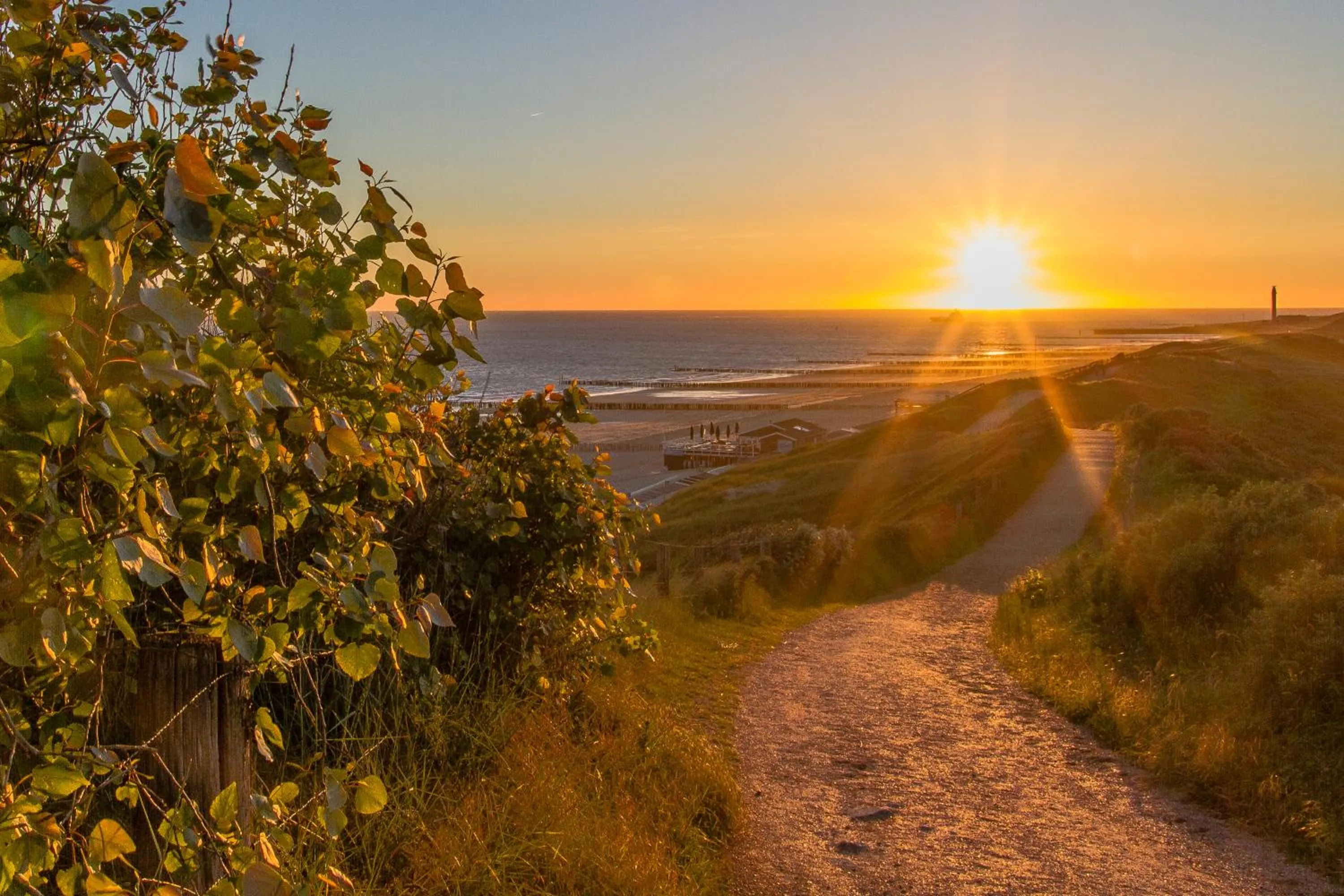 Beach in Hotel Domburg4you