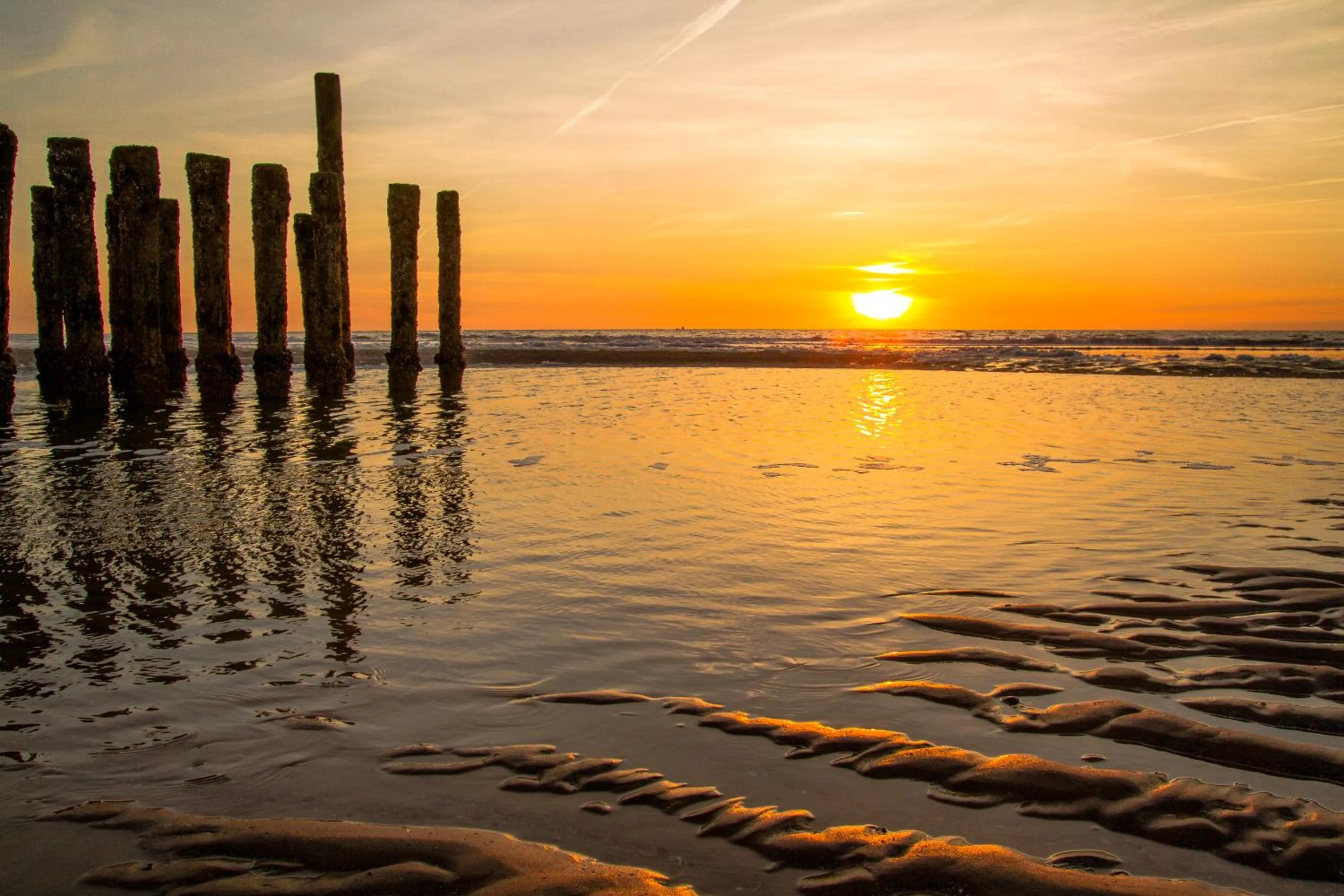 Beach in Hotel Domburg4you