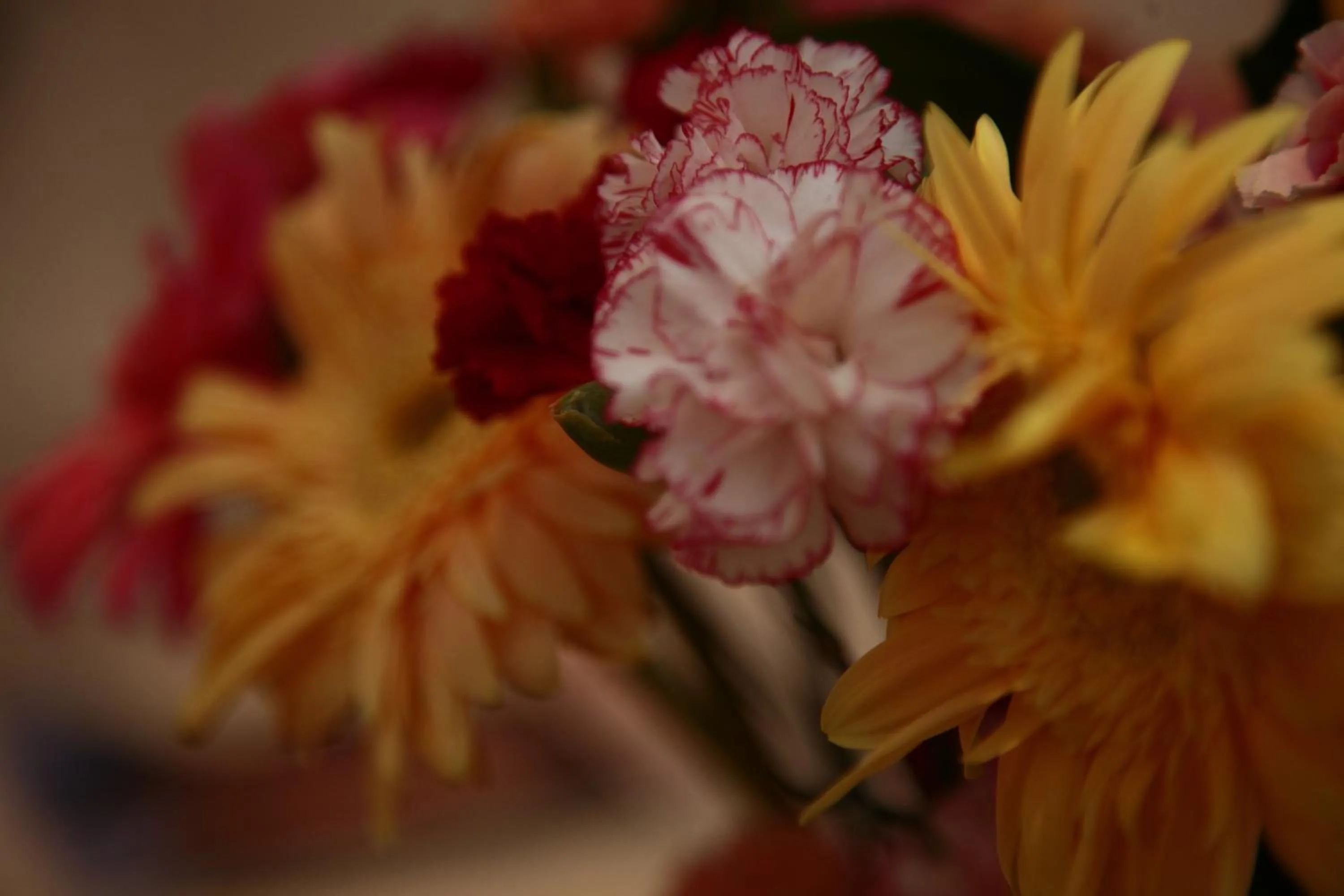 Decorative detail in B&B Massimo Inn