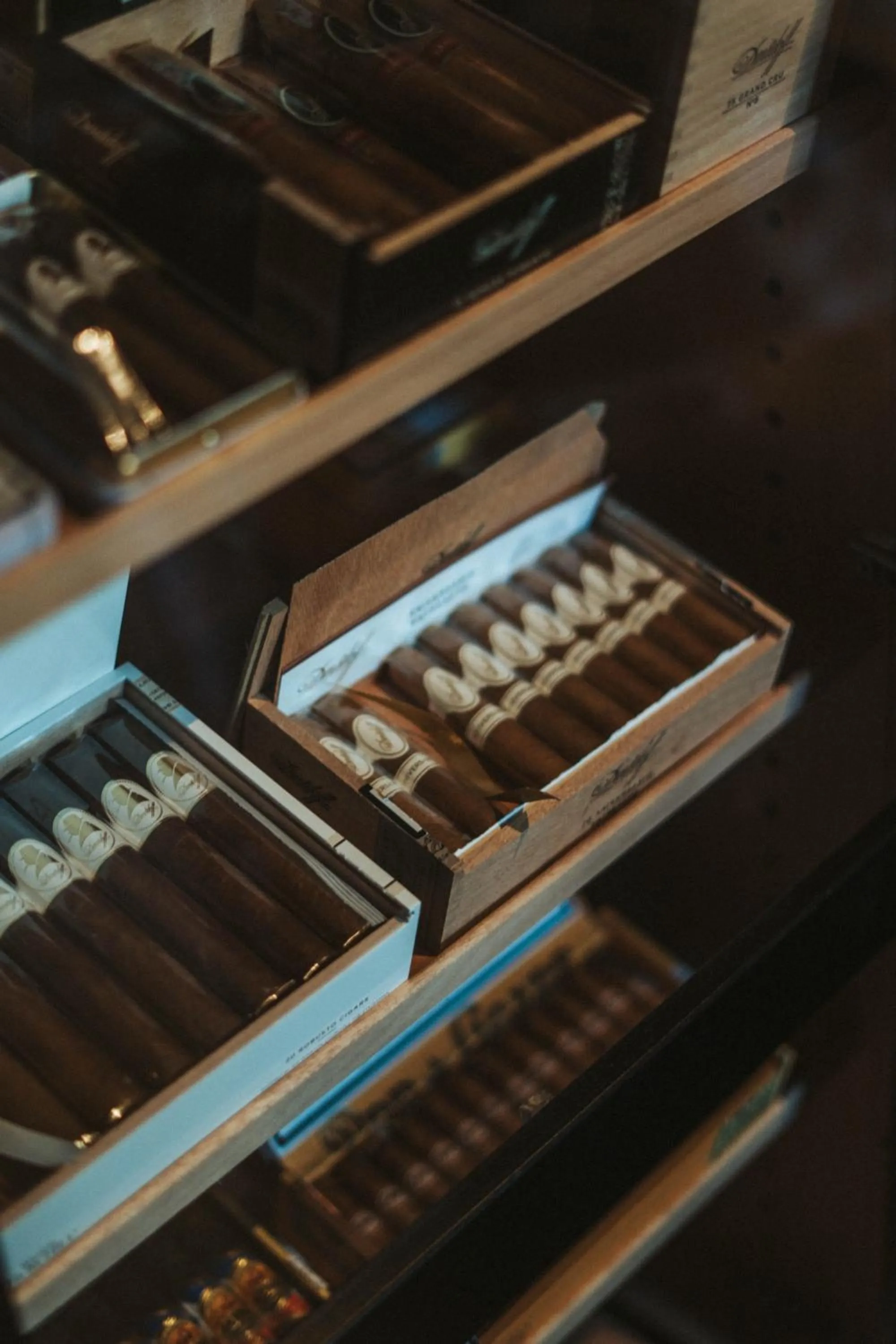 Lounge or bar in Tirolensis - Luxury All Inclusive