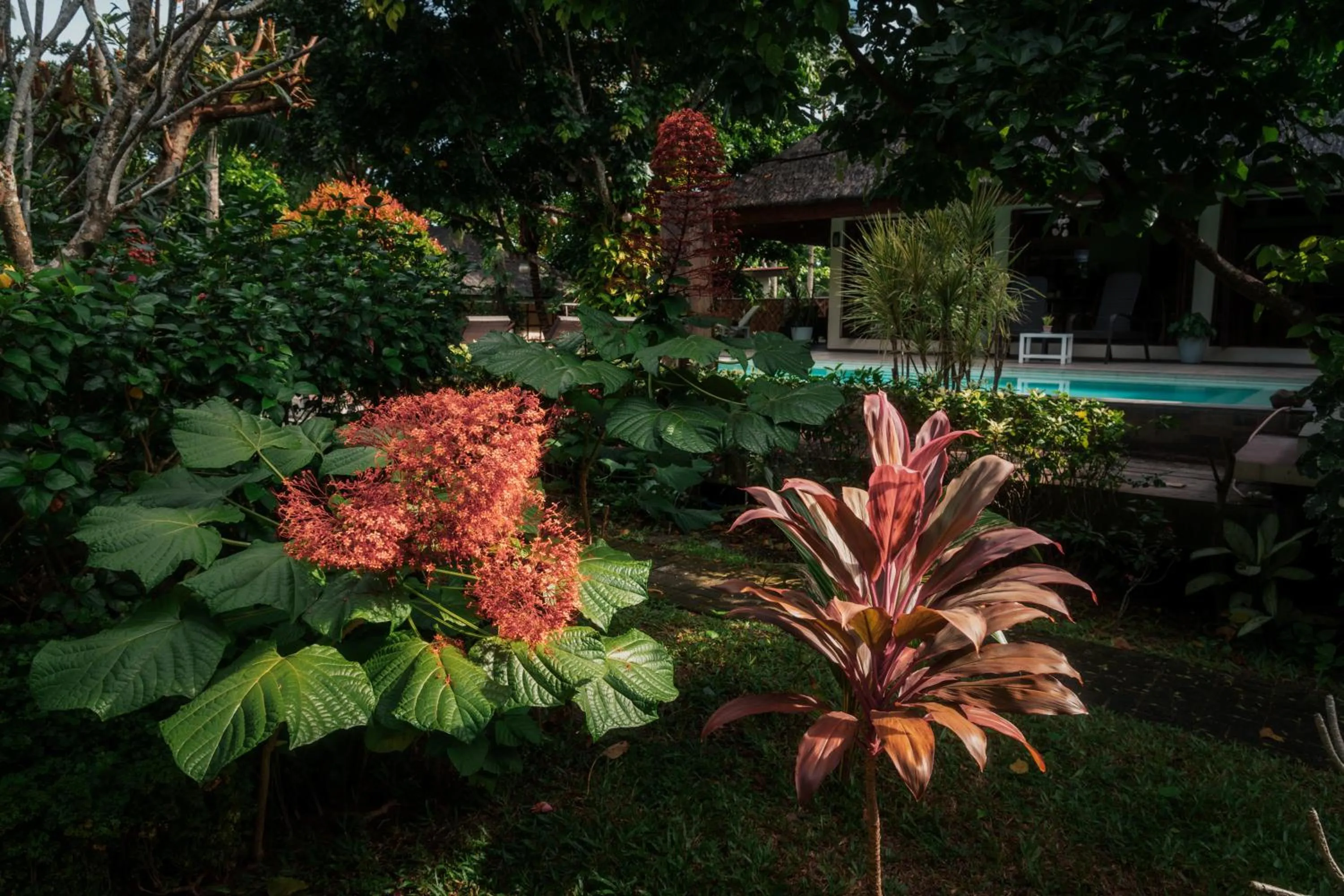 Swimming pool in Balai sa Baibai