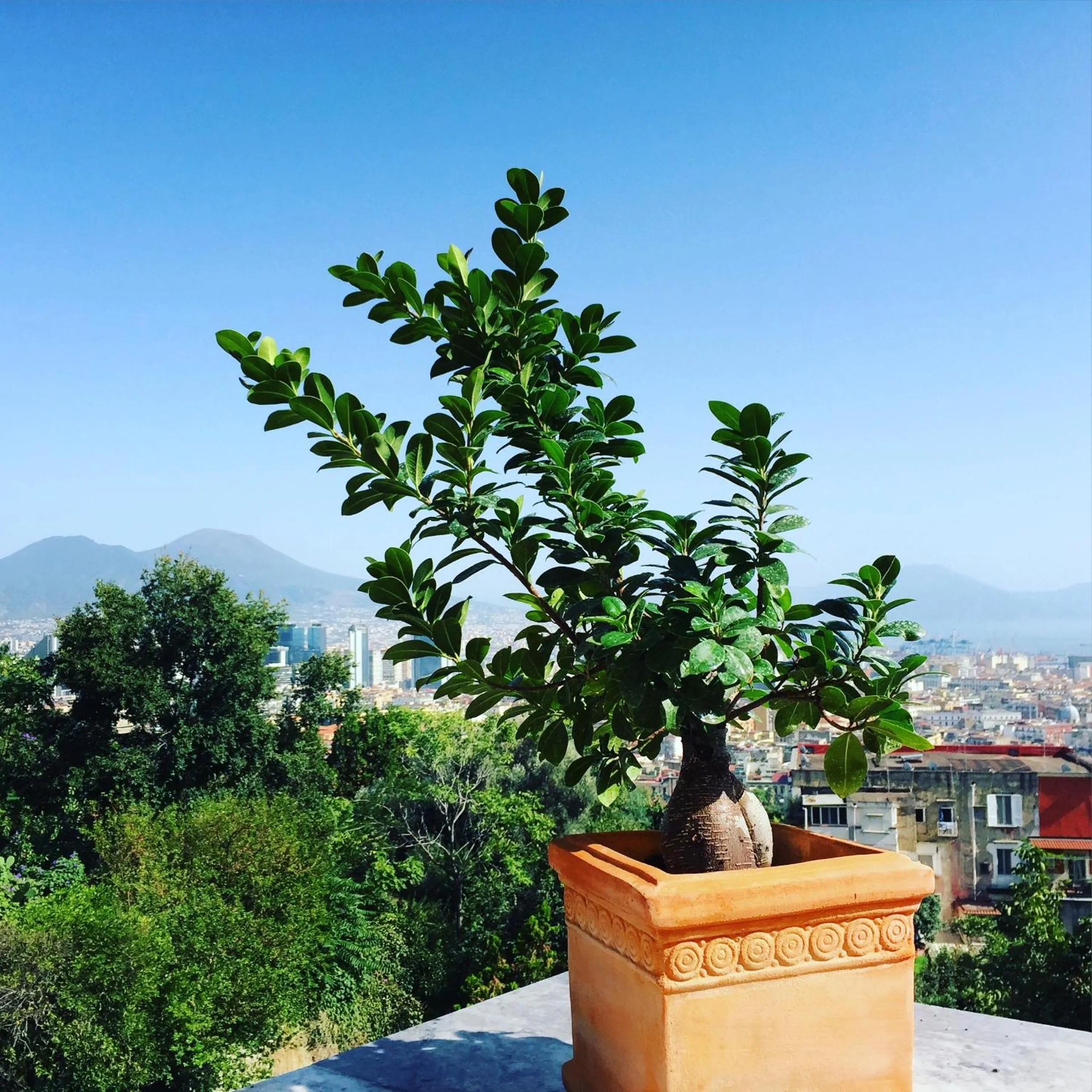 View (from property/room) in B&B La Veduta