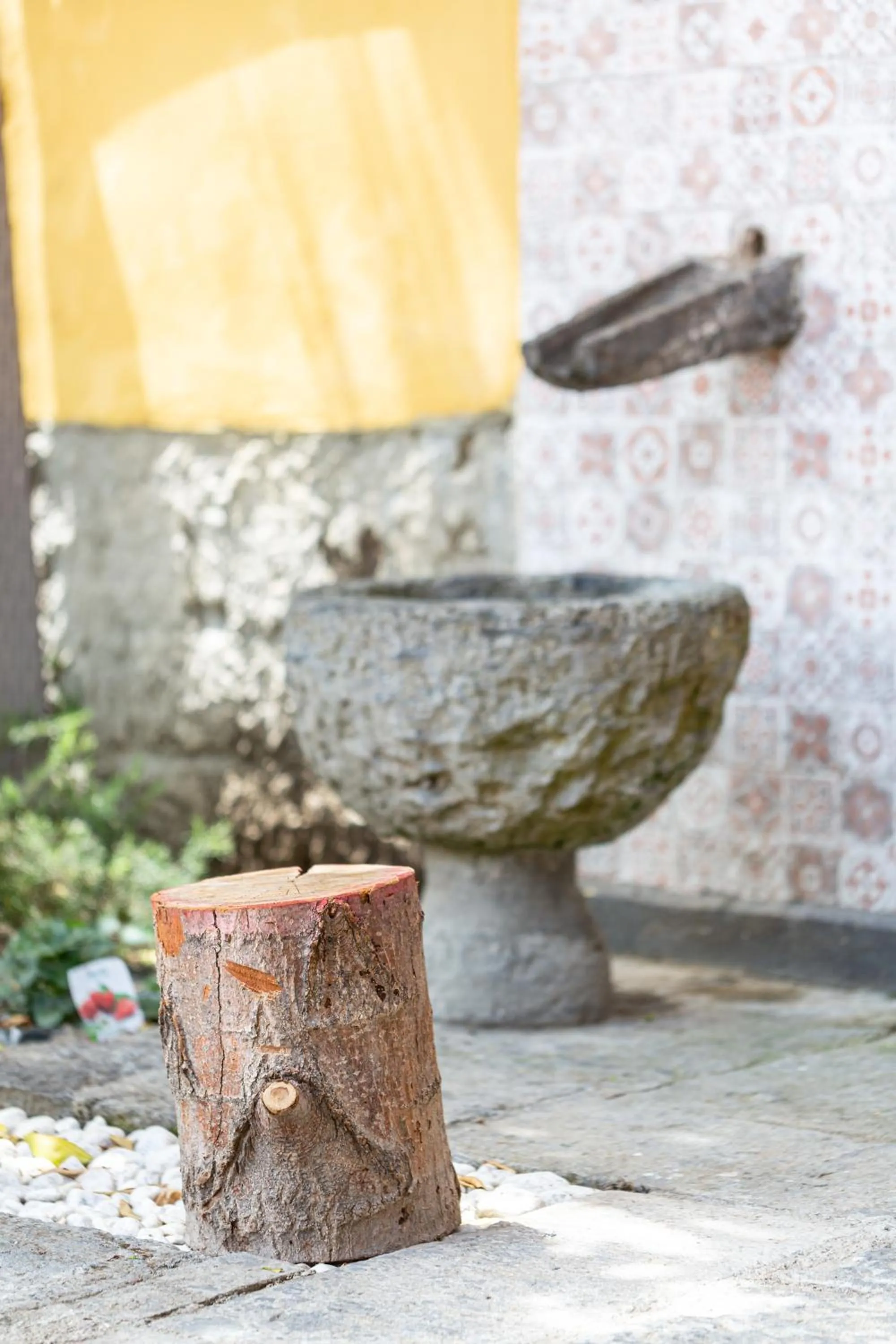 Garden view in B&B La Veduta