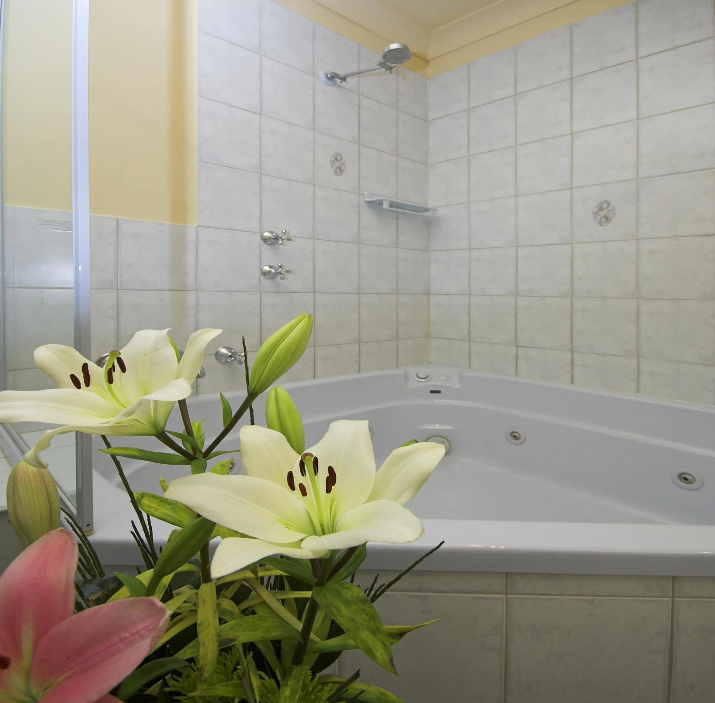 Bathroom in Victoria Hotel Strathalbyn