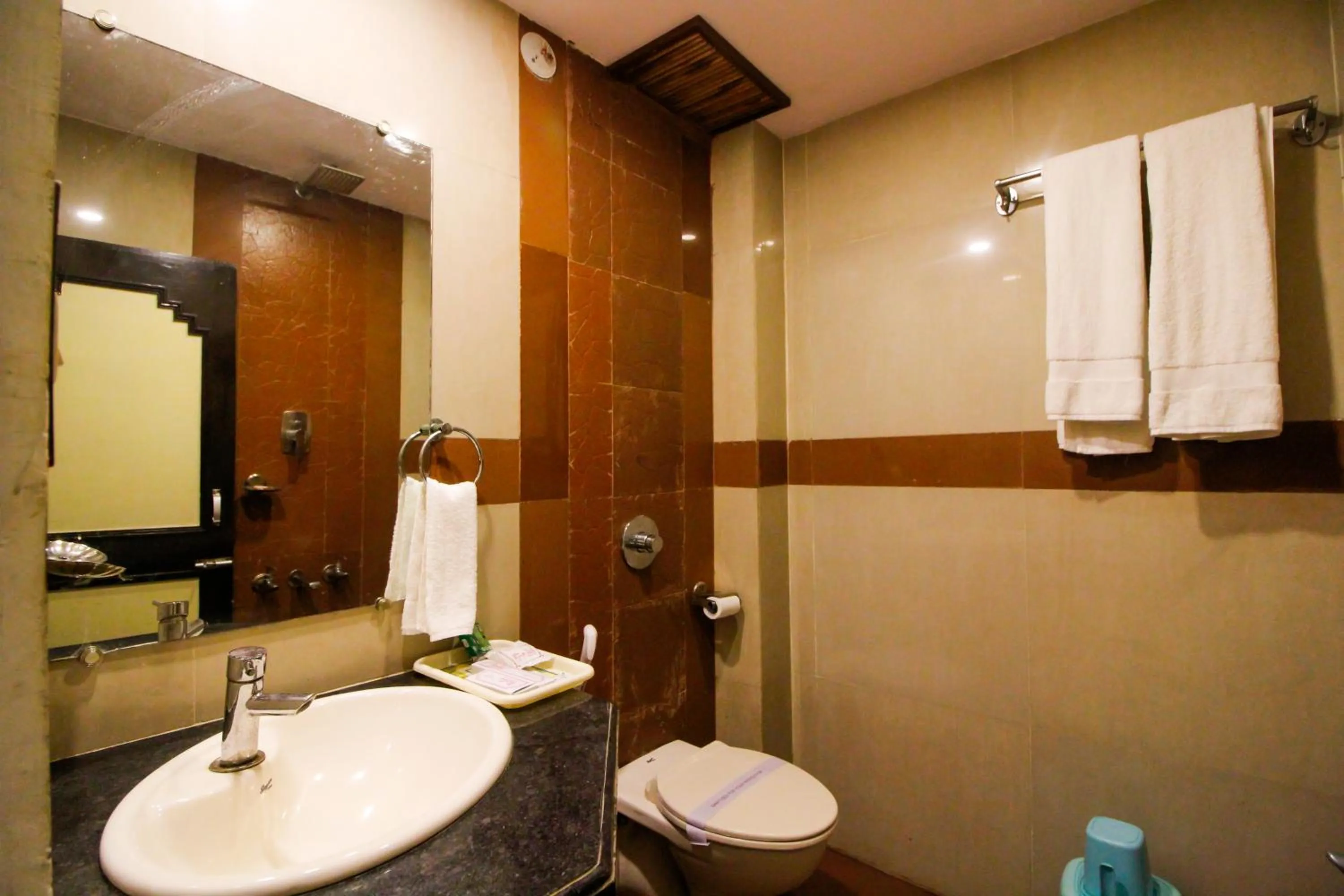 Shower in Hotel Rishi Regency