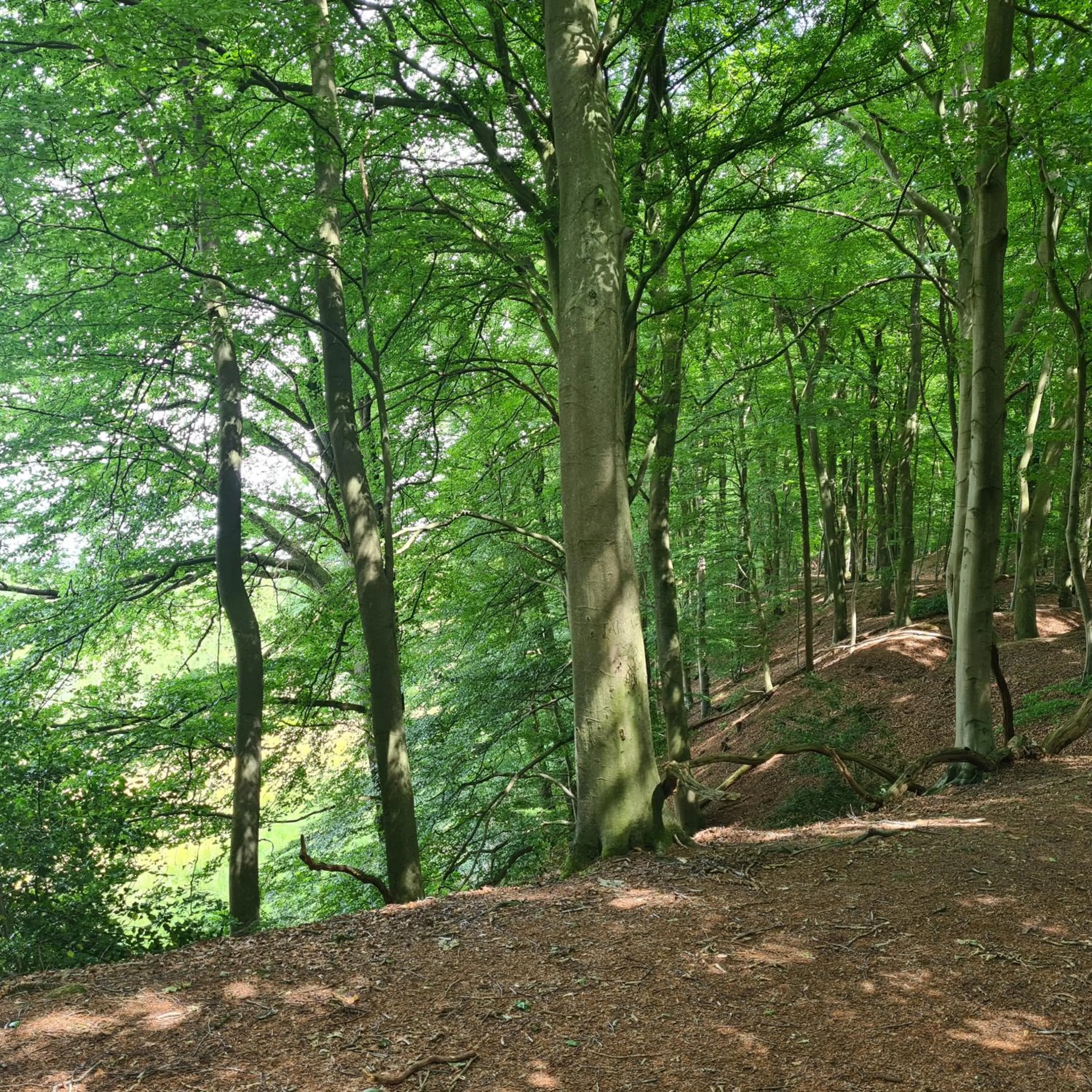 Staff in Landhotel Stähle