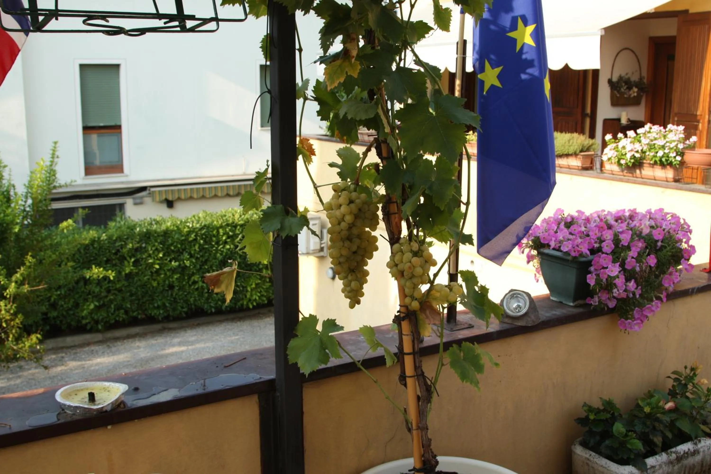 Garden view in La Terrazza Appartamento turisctico Agata