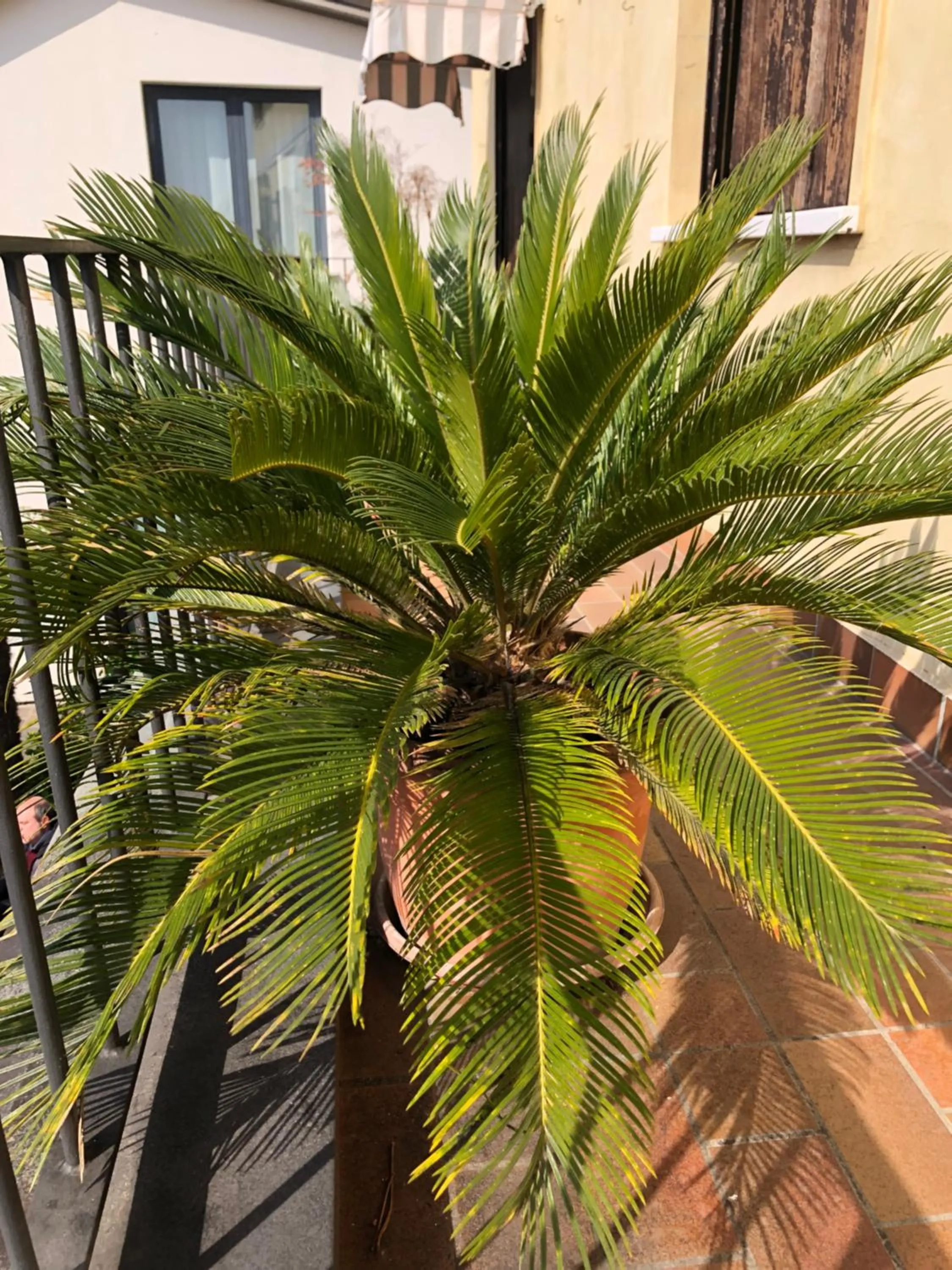 La Terrazza Appartamento turisctico Agata