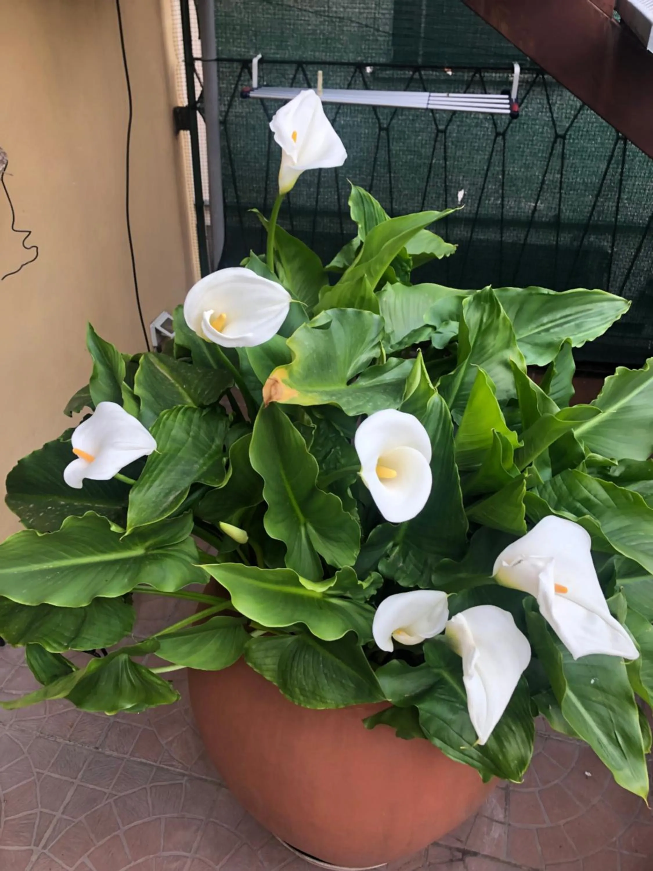 La Terrazza Appartamento turisctico Agata