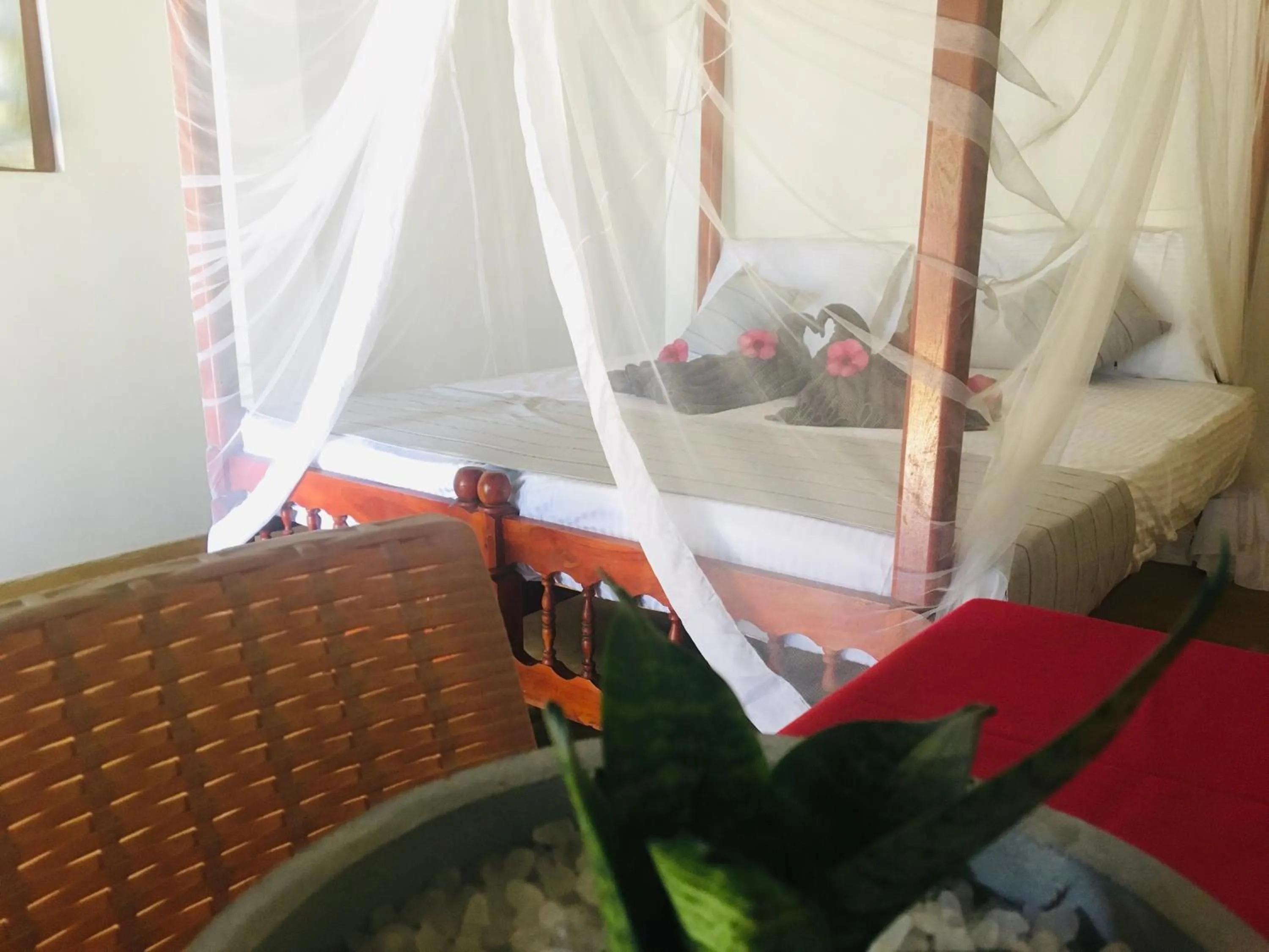 Bed in Dilena Beach Inn