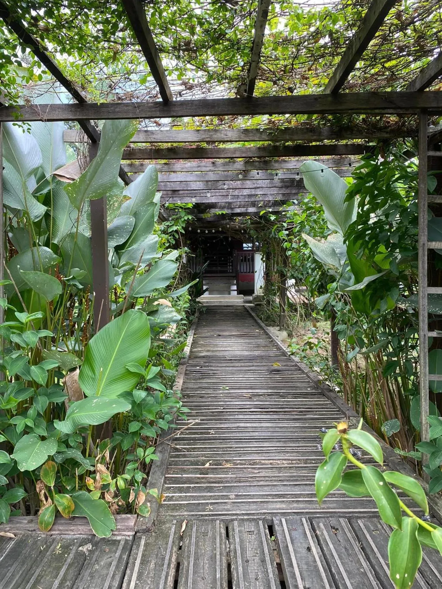 Inner courtyard view in Bagas Zakariah Orchard Lodge