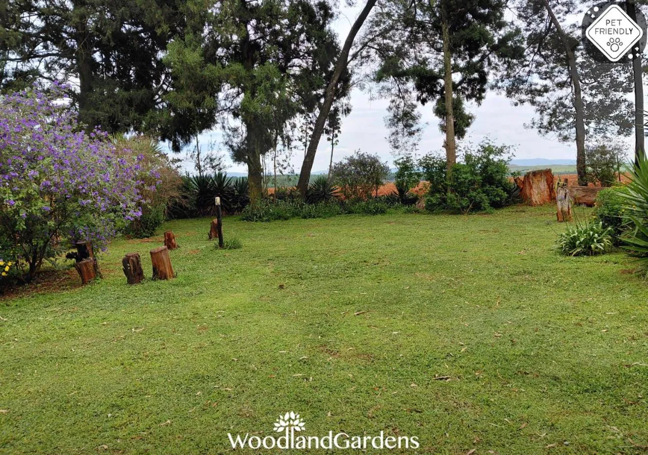 Garden view in Woodland Gardens Self catering Pet Friendly Lodge