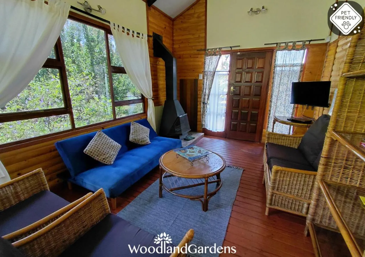 TV and multimedia in Woodland Gardens Self catering Pet Friendly Lodge
