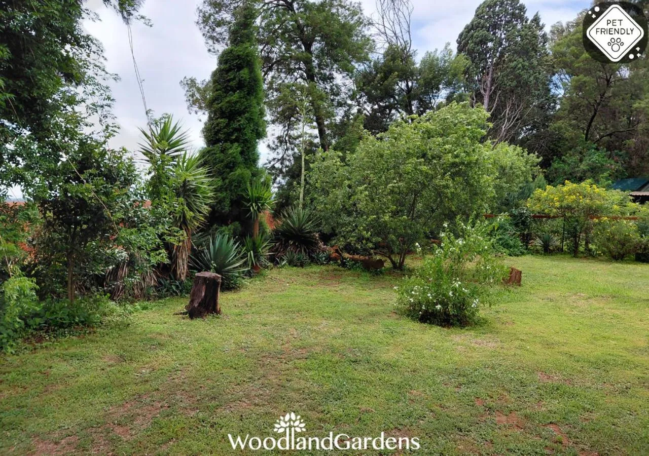 Garden in Woodland Gardens Self catering Pet Friendly Lodge