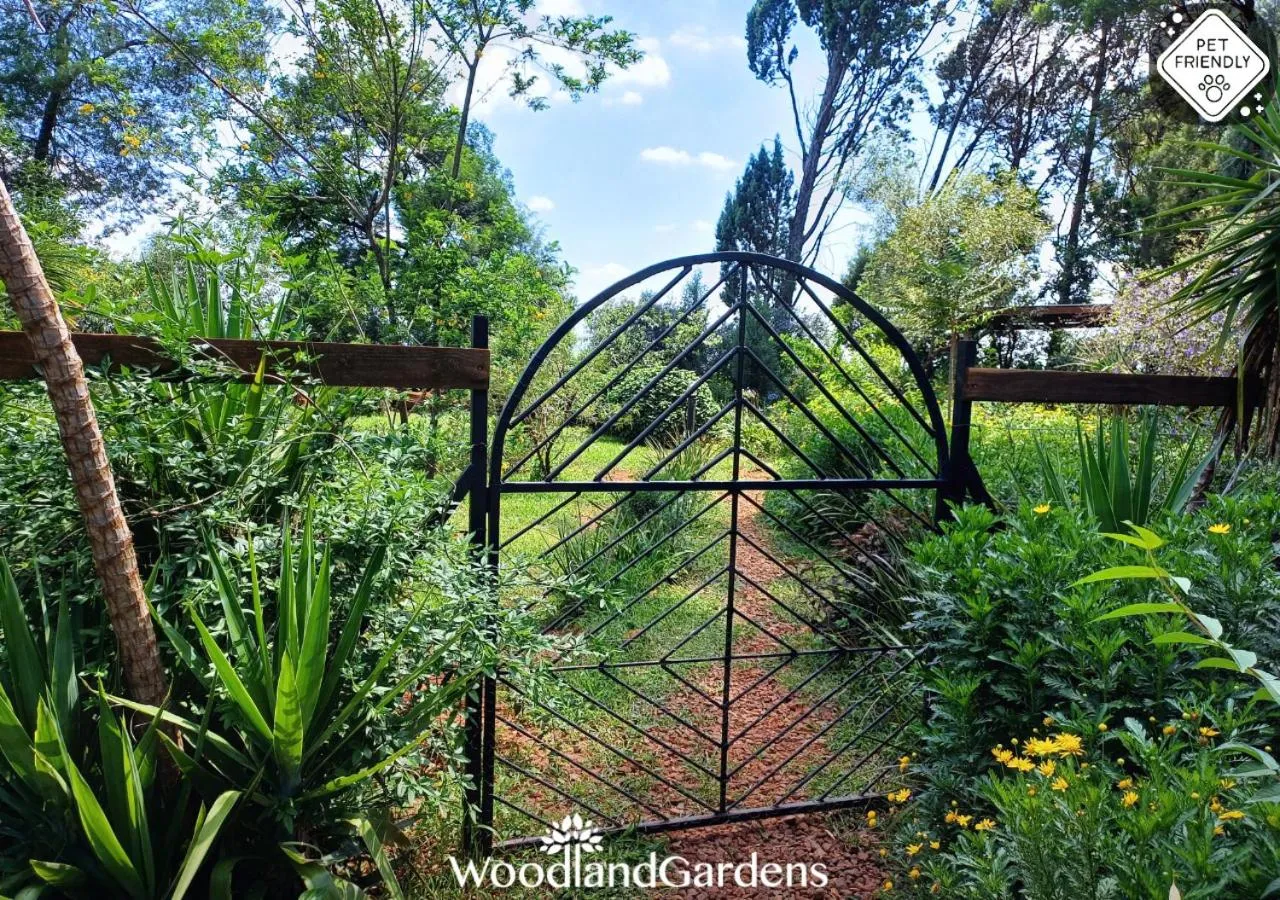 Garden in Woodland Gardens Self catering Pet Friendly Lodge