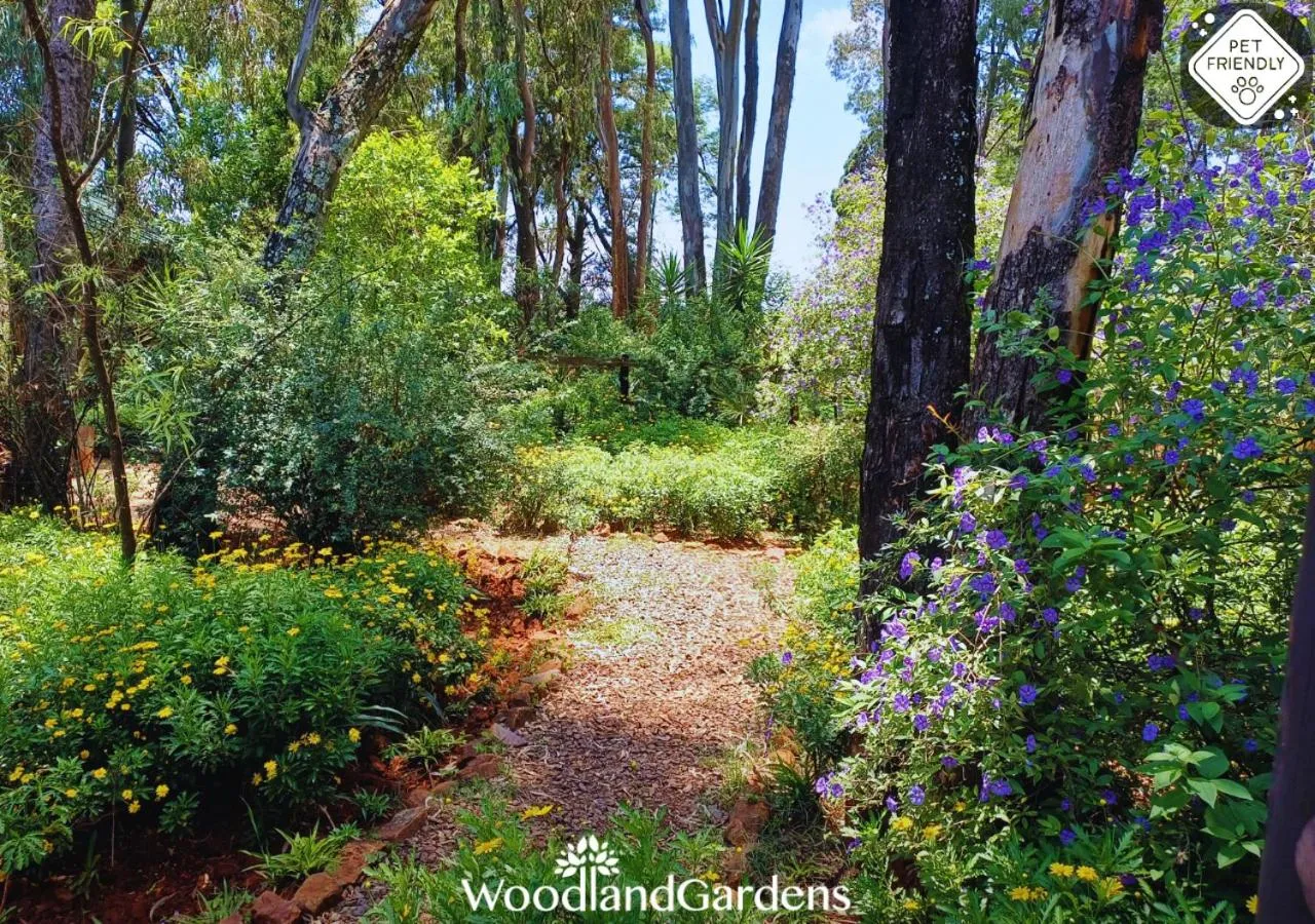 Garden in Woodland Gardens Self catering Pet Friendly Lodge