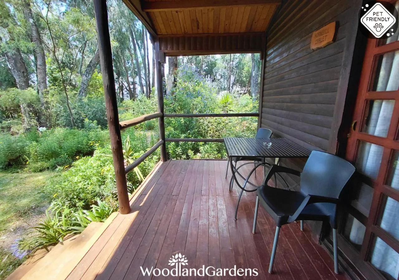 Garden in Woodland Gardens Self catering Pet Friendly Lodge