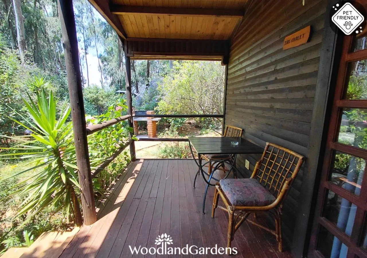 Garden in Woodland Gardens Self catering Pet Friendly Lodge
