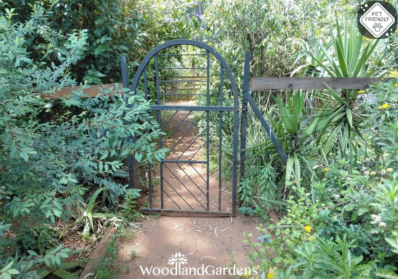 Garden in Woodland Gardens Self catering Pet Friendly Lodge