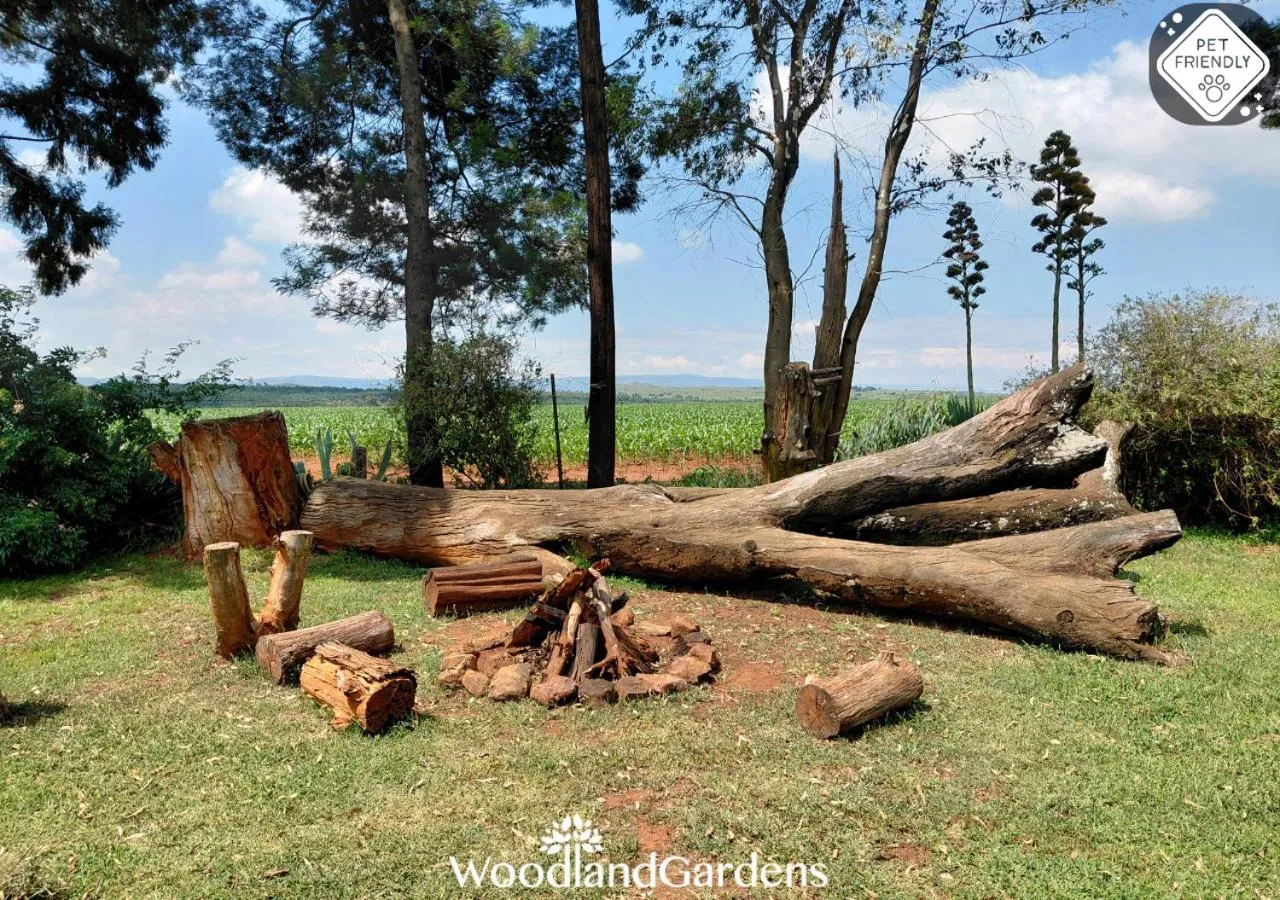 Garden in Woodland Gardens Self catering Pet Friendly Lodge