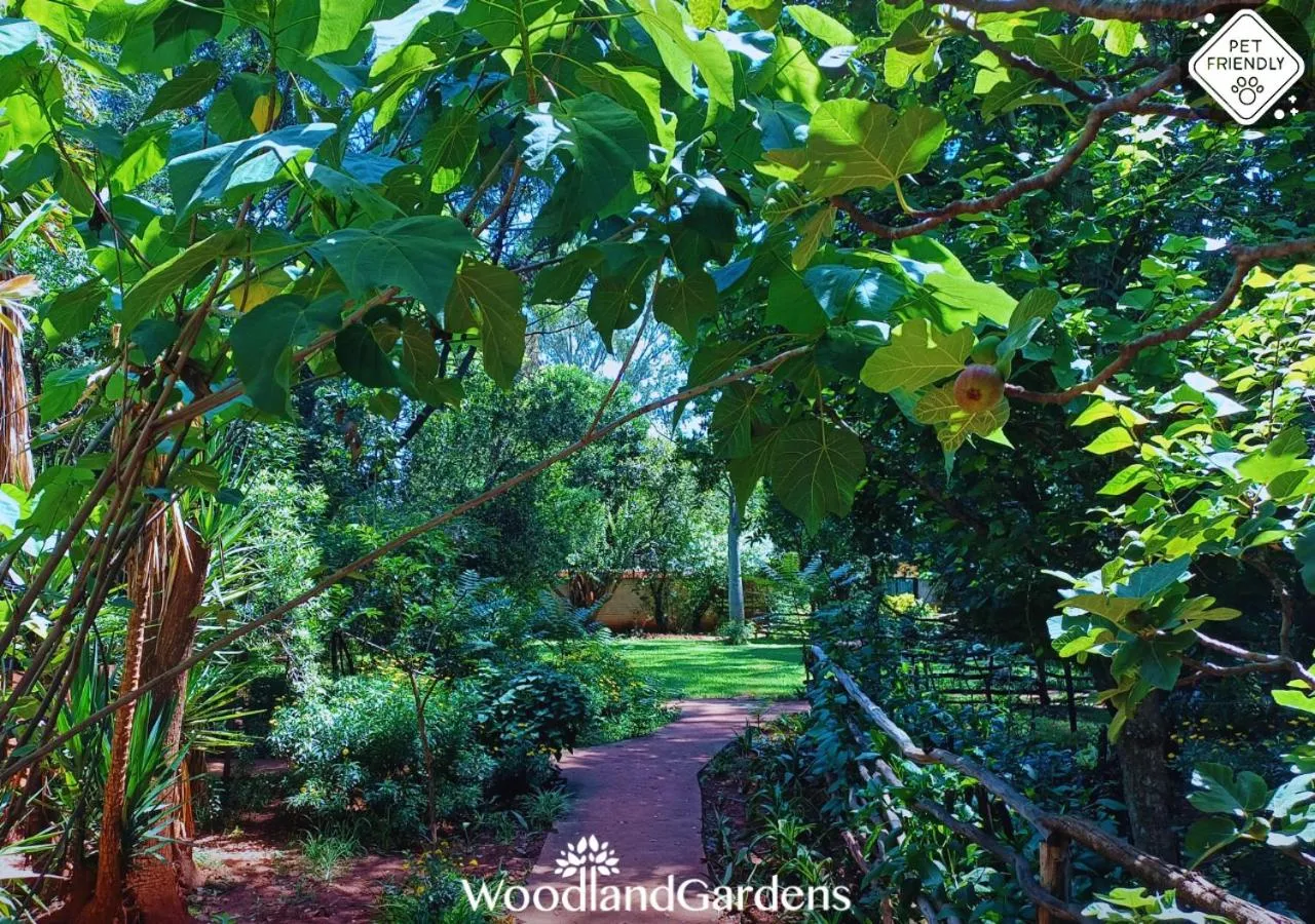 Garden in Woodland Gardens Self catering Pet Friendly Lodge
