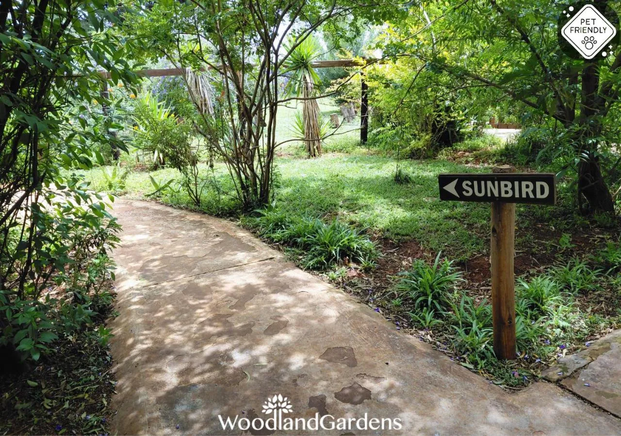 Garden in Woodland Gardens Self catering Pet Friendly Lodge