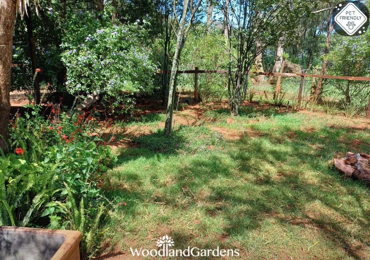 Garden in Woodland Gardens Self catering Pet Friendly Lodge