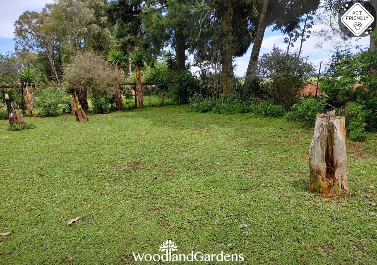 Garden view in Woodland Gardens Self catering Pet Friendly Lodge
