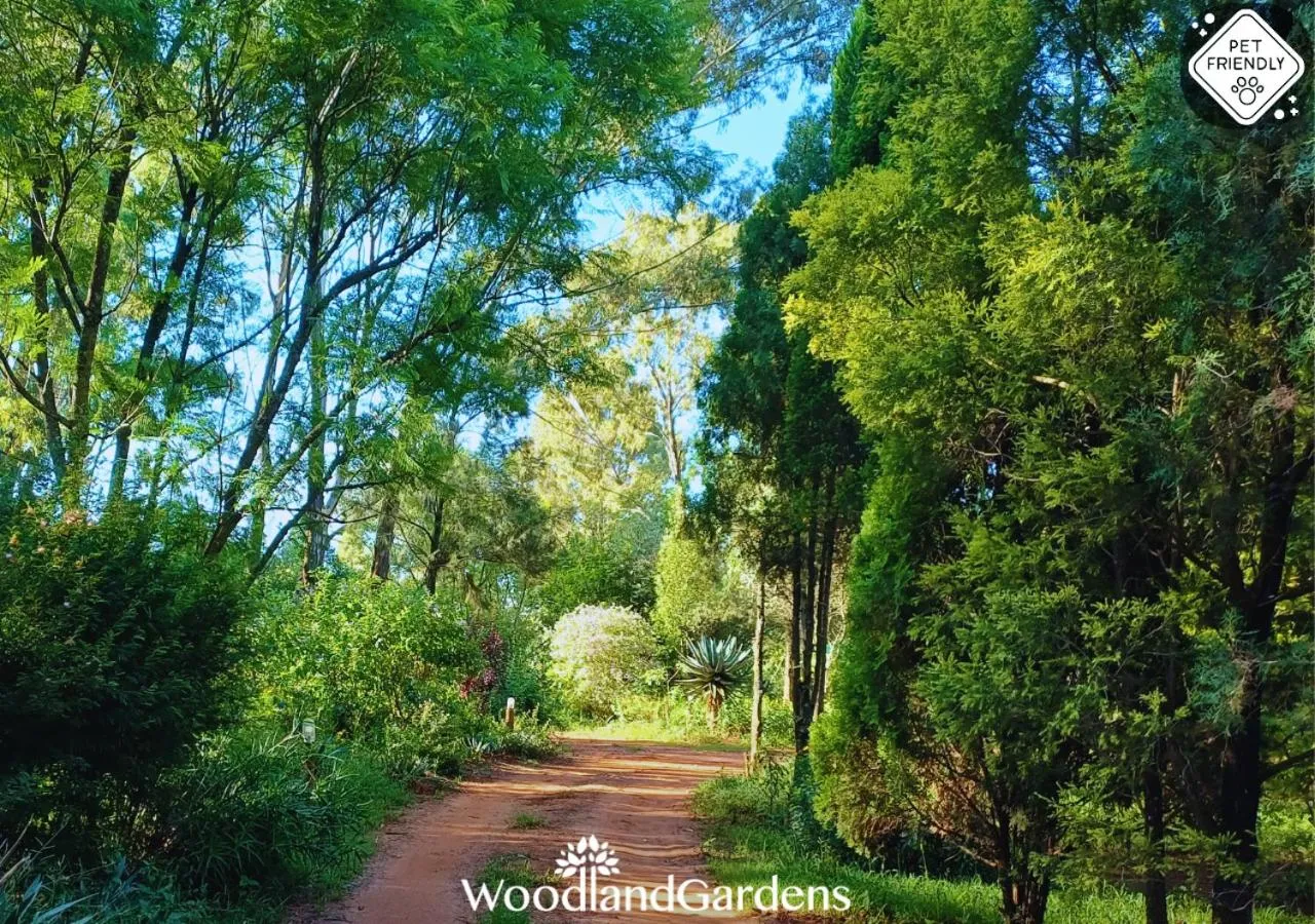 Garden in Woodland Gardens Self catering Pet Friendly Lodge