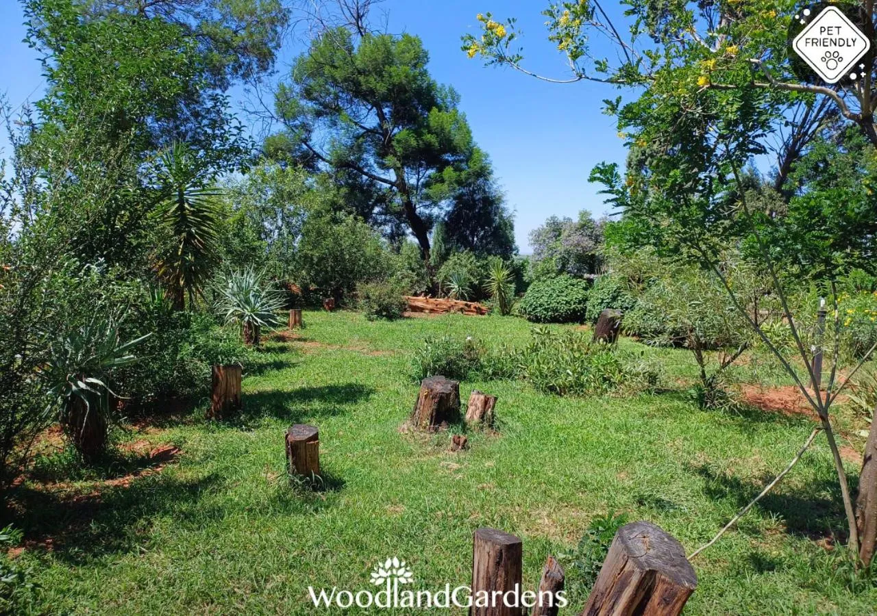 Garden in Woodland Gardens Self catering Pet Friendly Lodge