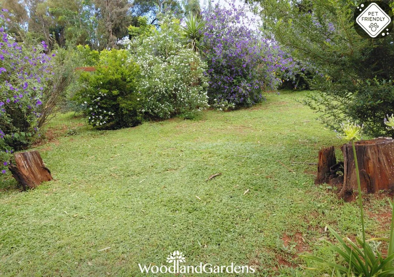 Garden in Woodland Gardens Self catering Pet Friendly Lodge