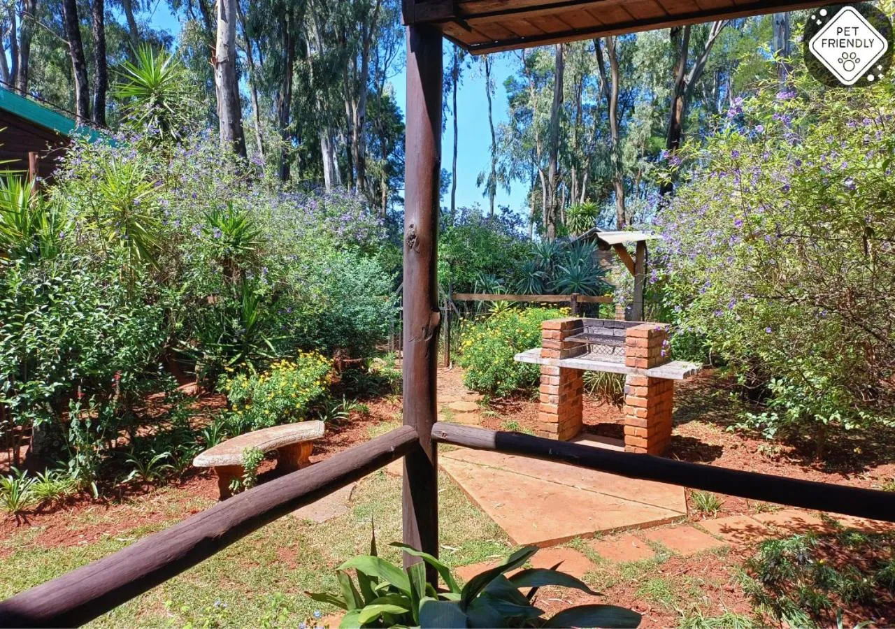 Garden view in Woodland Gardens Self catering Pet Friendly Lodge