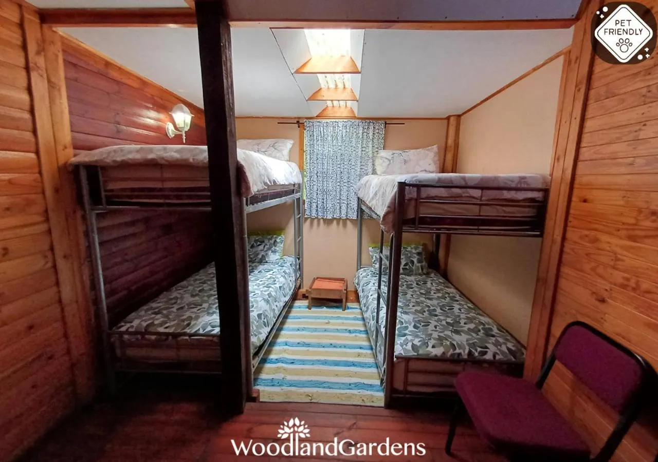 bunk bed, Bed in Woodland Gardens Self catering Pet Friendly Lodge