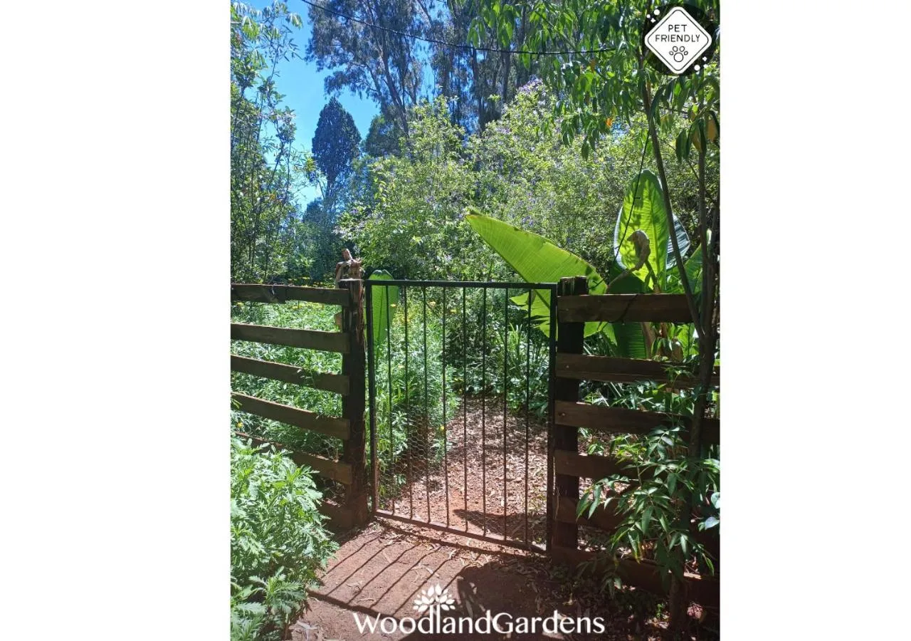 Garden in Woodland Gardens Self catering Pet Friendly Lodge