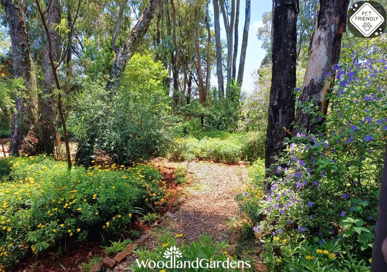 Garden in Woodland Gardens Self catering Pet Friendly Lodge