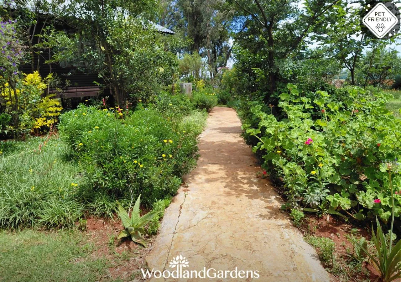 Garden in Woodland Gardens Self catering Pet Friendly Lodge