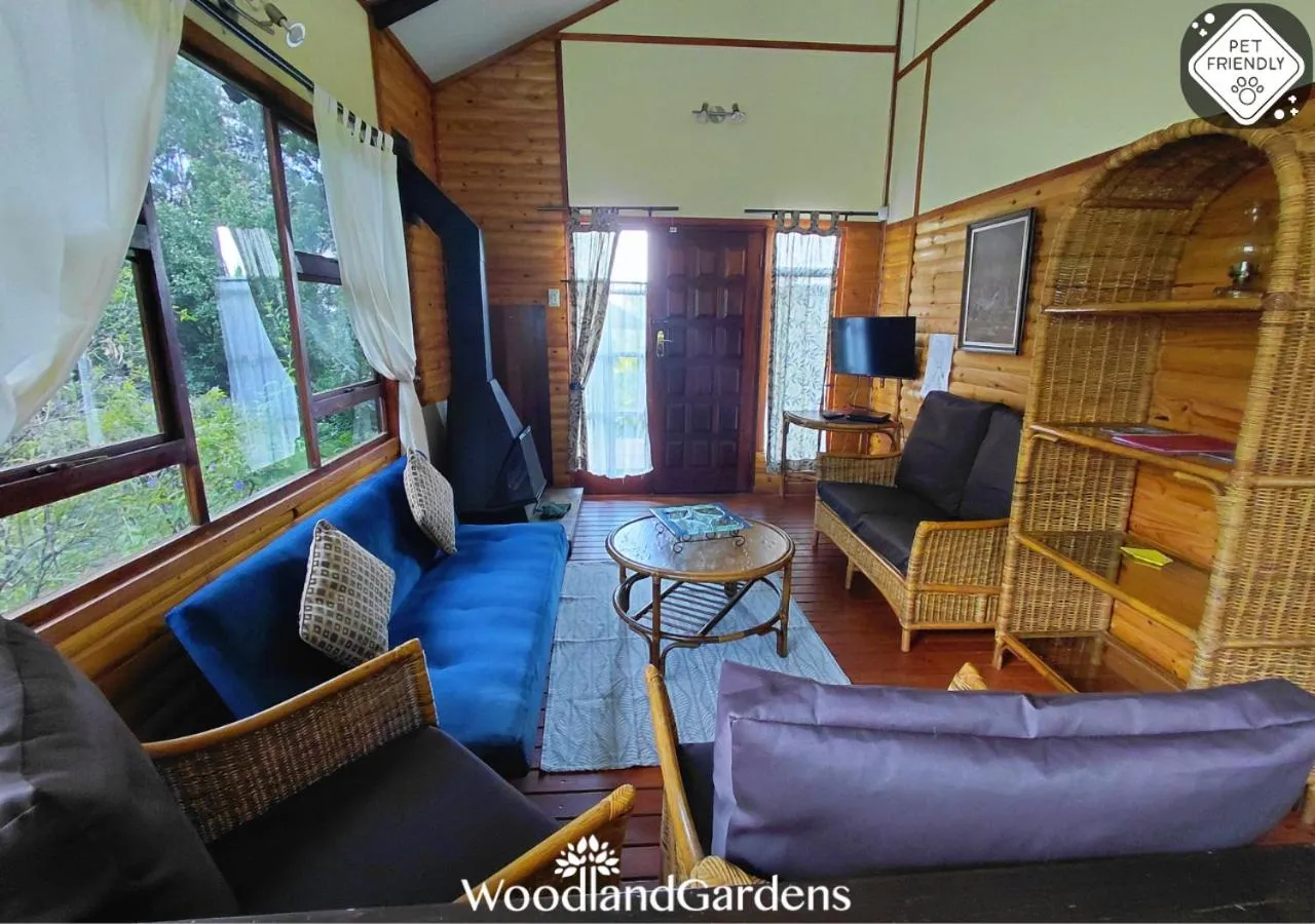 TV and multimedia in Woodland Gardens Self catering Pet Friendly Lodge