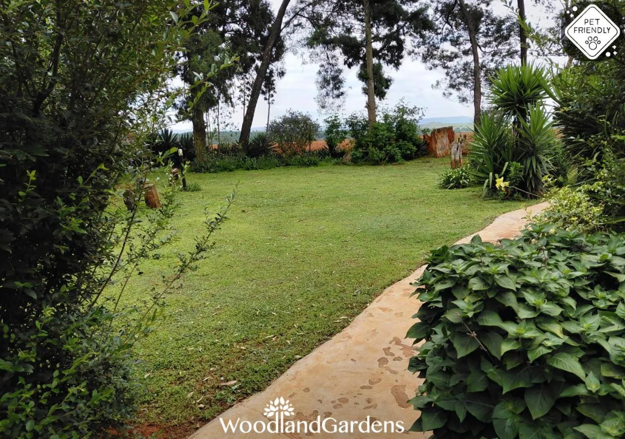 Garden in Woodland Gardens Self catering Pet Friendly Lodge