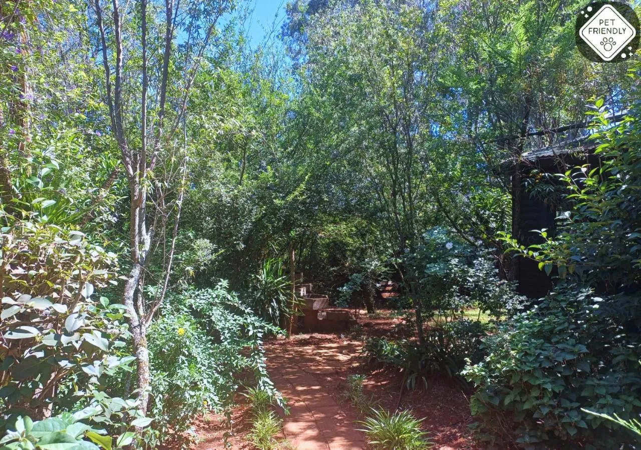 Garden in Woodland Gardens Self catering Pet Friendly Lodge